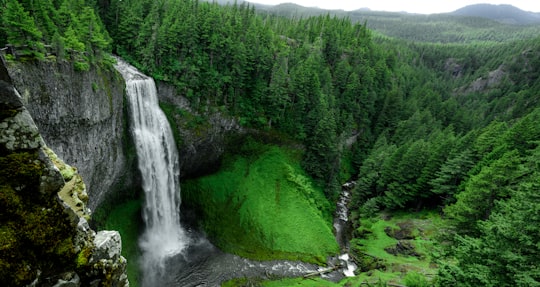 aerial photo of waterfall in middle of jugle in Salt Creek Falls United States