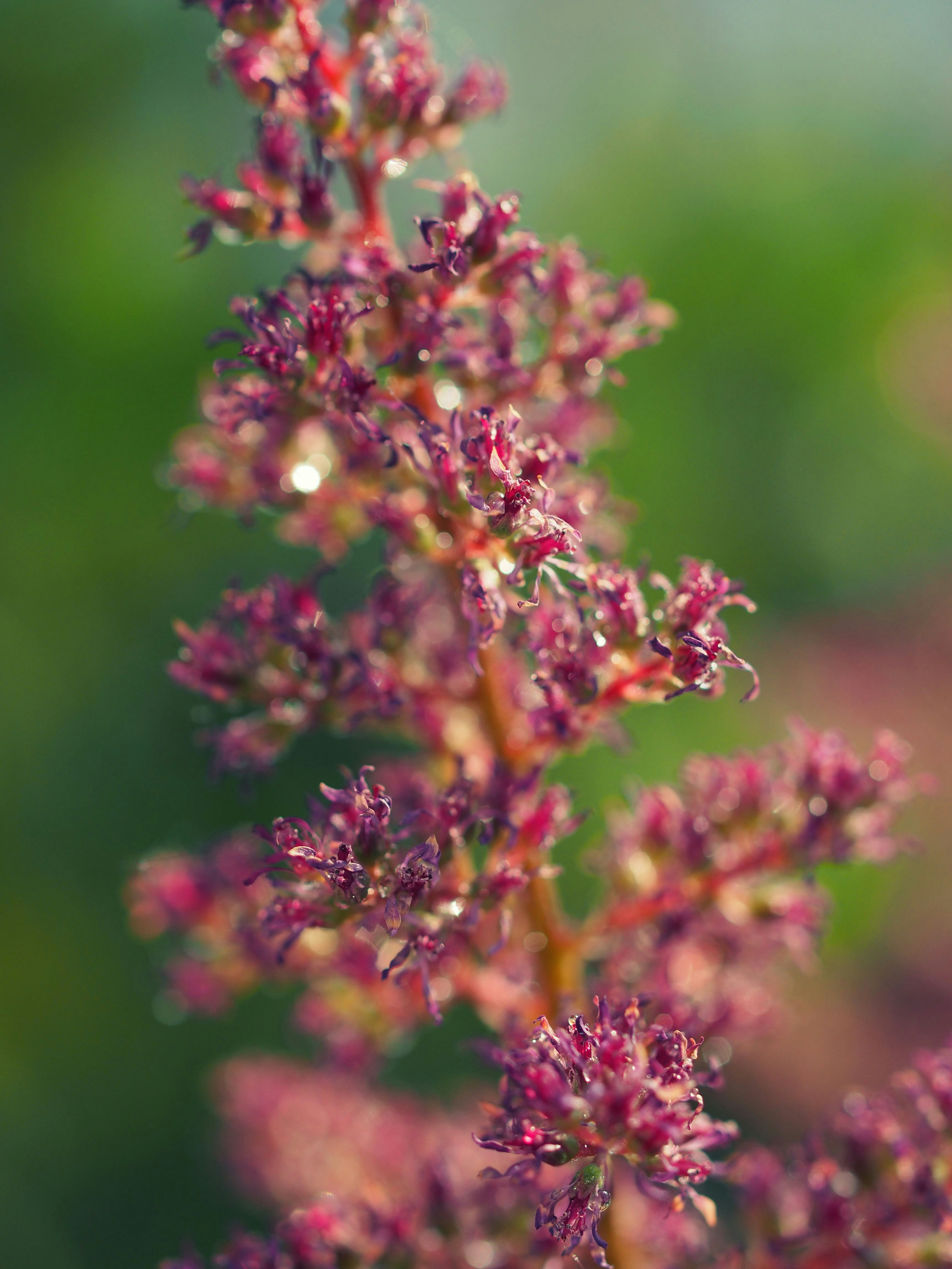 Free Unsplash photo from Arjan de Jong