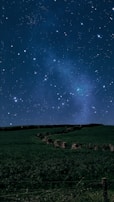 A calm night sky filled with stars over open grassland.