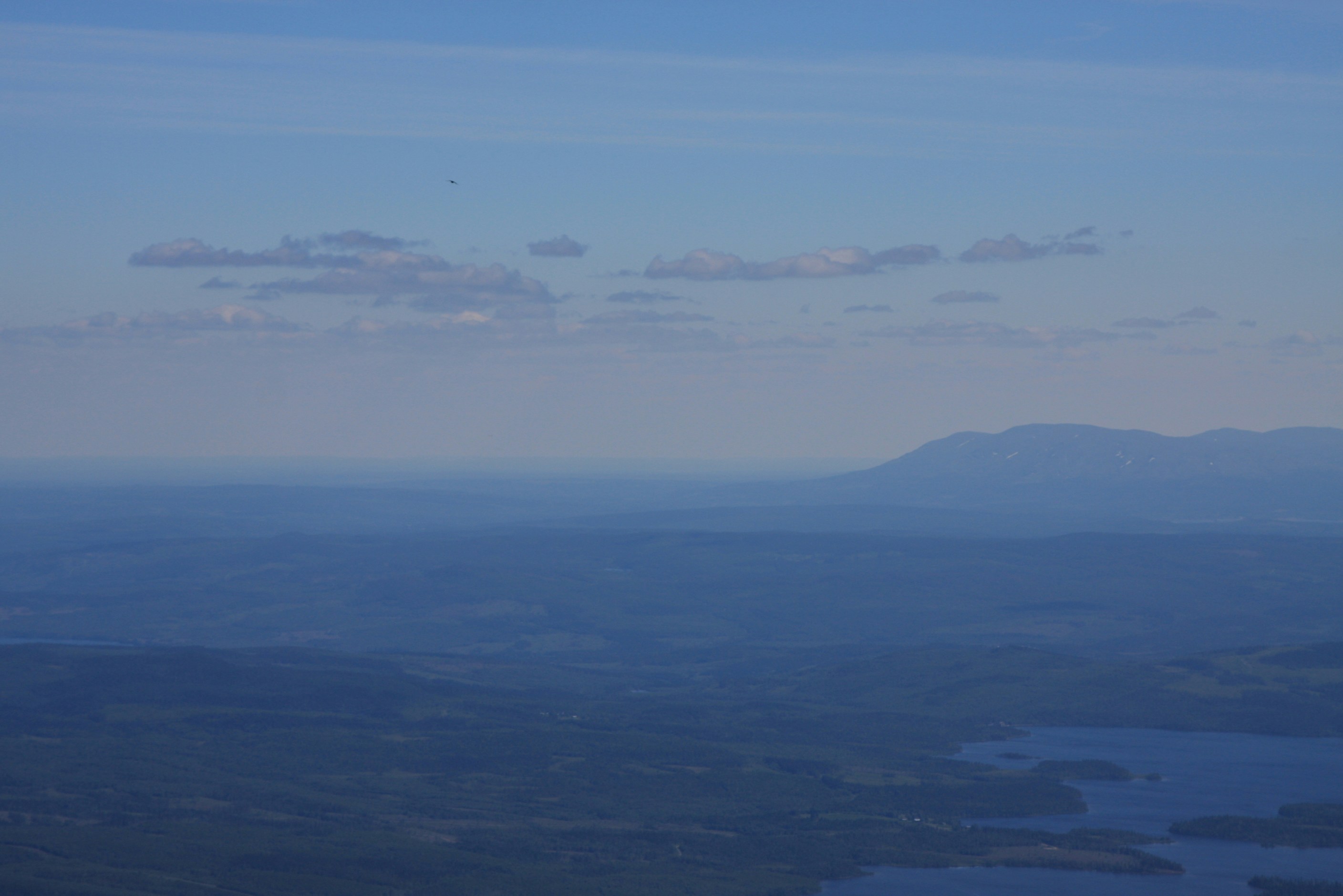 Free Unsplash photo from Therese Carlsson