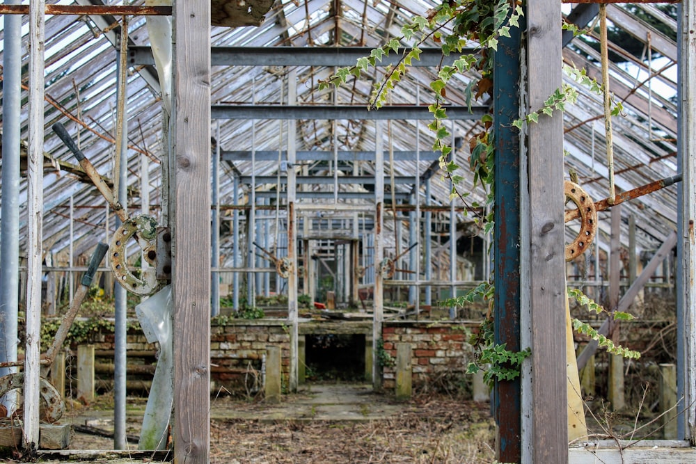 garden room photgraph