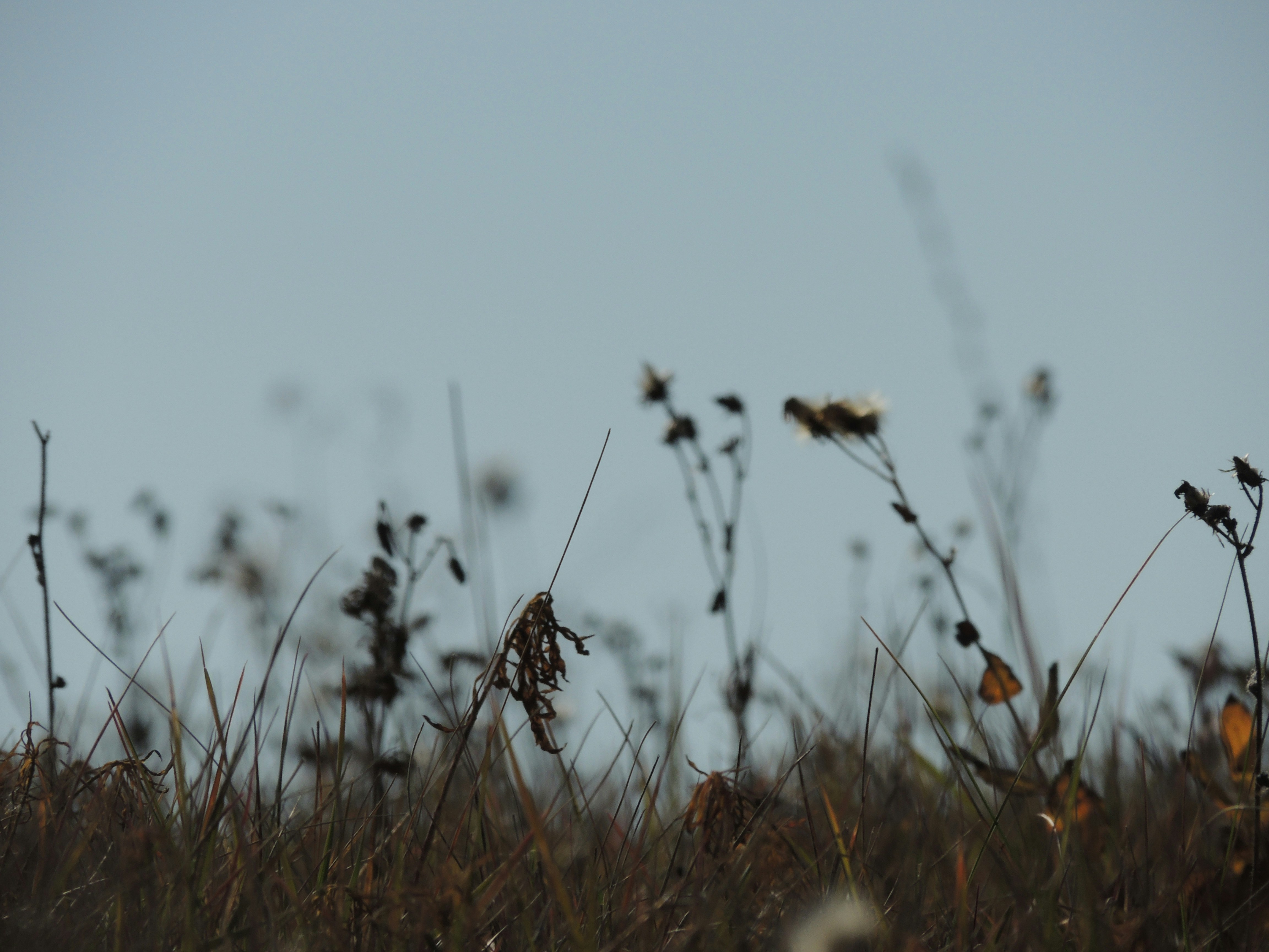 Free Unsplash photo from Alexey Fomenko