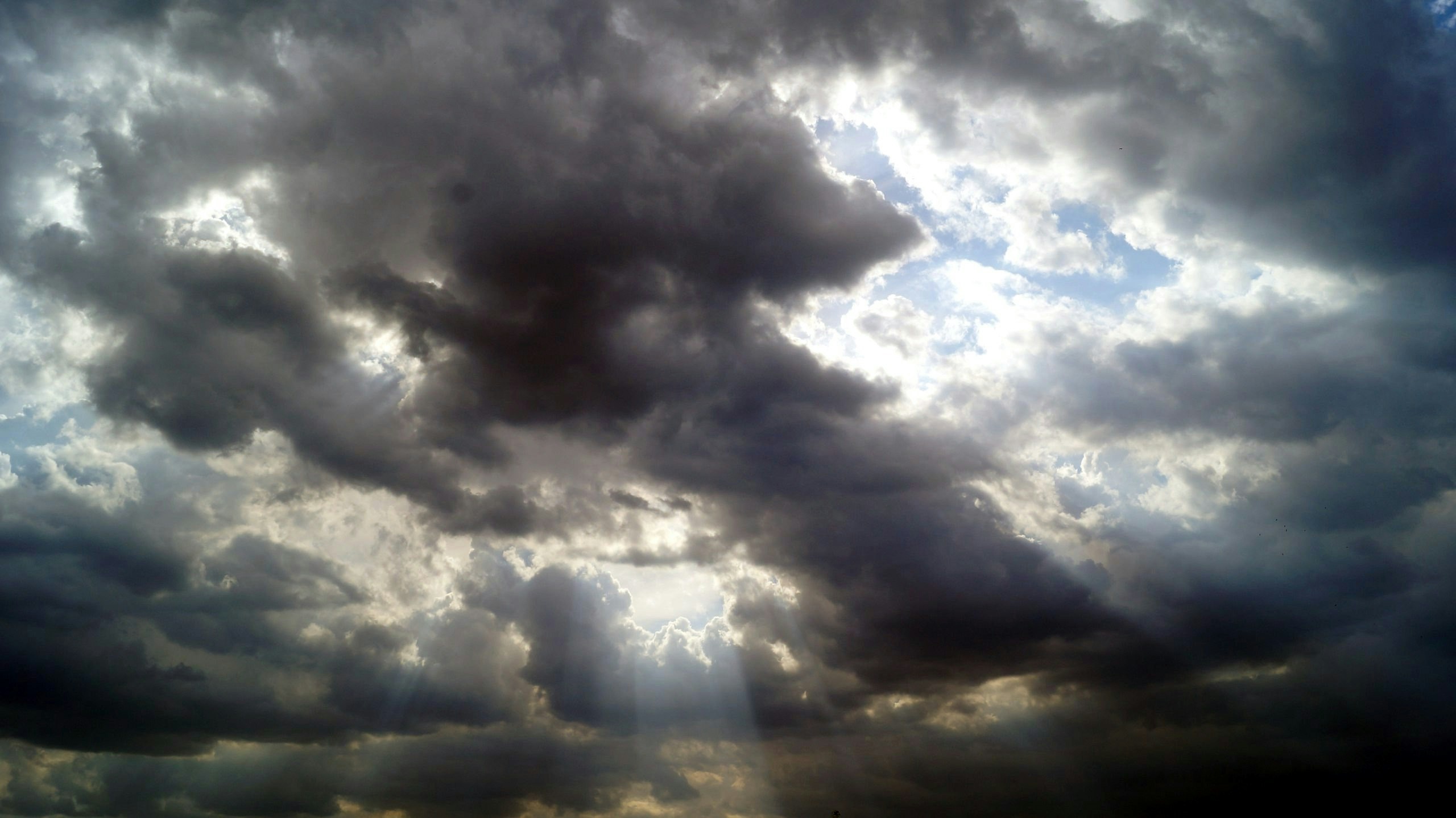 Free Unsplash photo from Alexey Fomenko