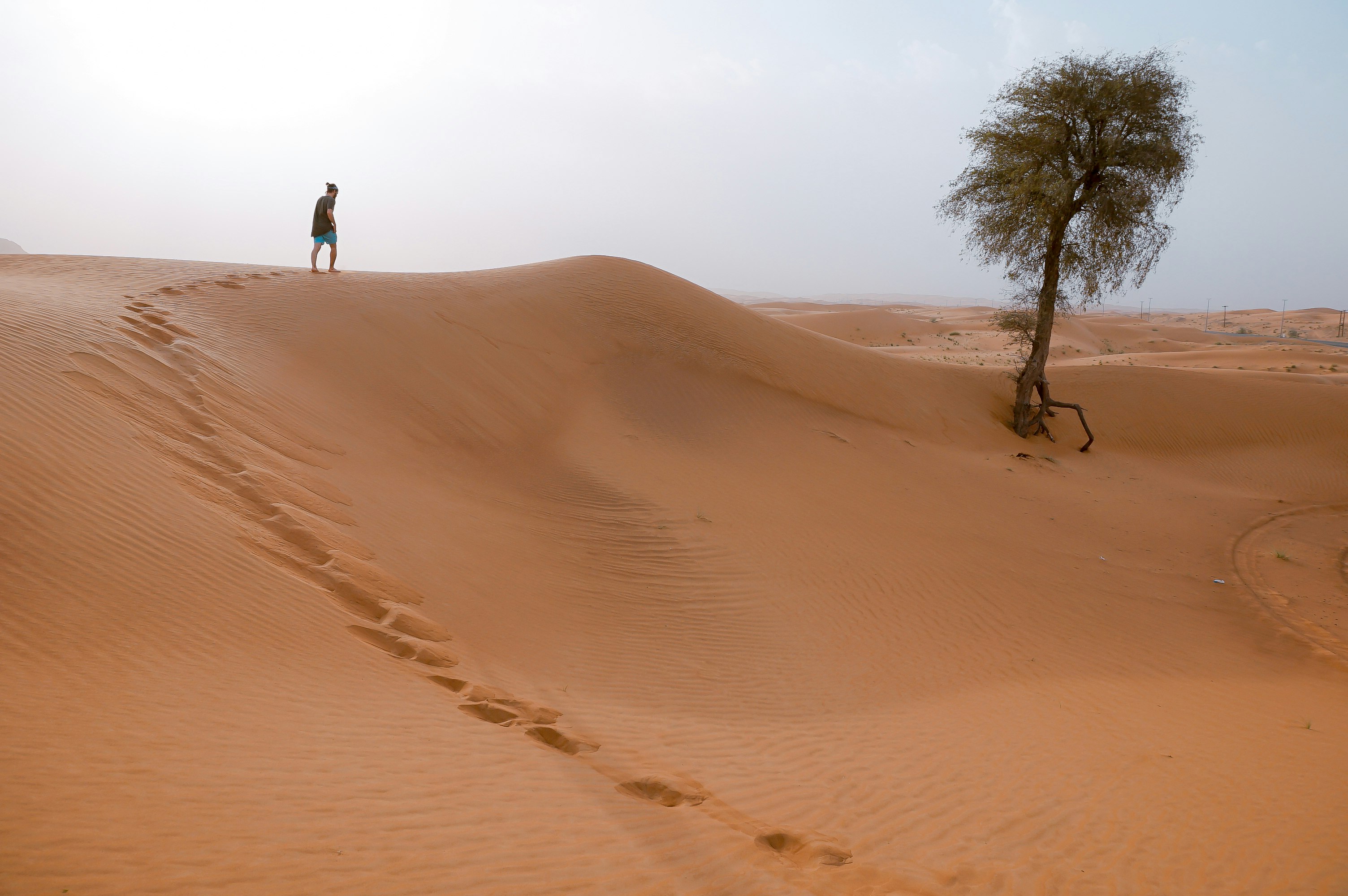 man walking on desert with one tree during daytime