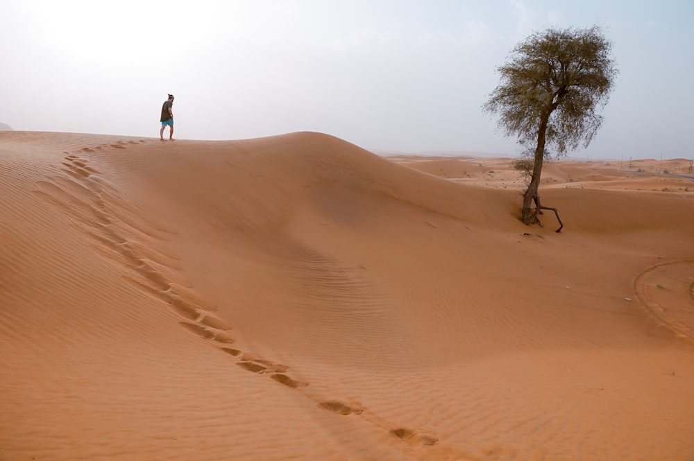 uomo che cammina sul deserto con un albero durante il giorno