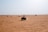Numerous people are riding all-terrain vehicles (ATVs) on an expansive desert landscape. The desert is vast, with sand dunes stretching into the distance under a clear blue sky. Tire tracks crisscross the sandy surface, indicating the dynamic movement across the terrain. The scene conveys a sense of adventure and excitement.