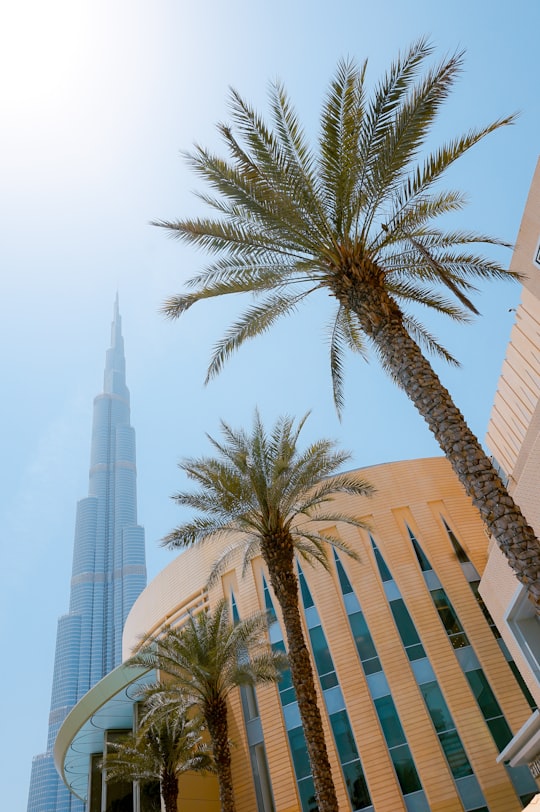 green palm trees besides yellow building in The Dubai Fountain United Arab Emirates