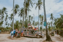 A colorful jeepney is parked on a sandy path surrounded by tall palm trees. Several people are gathered around the vehicle, some wearing brightly colored clothing. The scene appears tropical and vibrant, conveying a sense of community and travel.