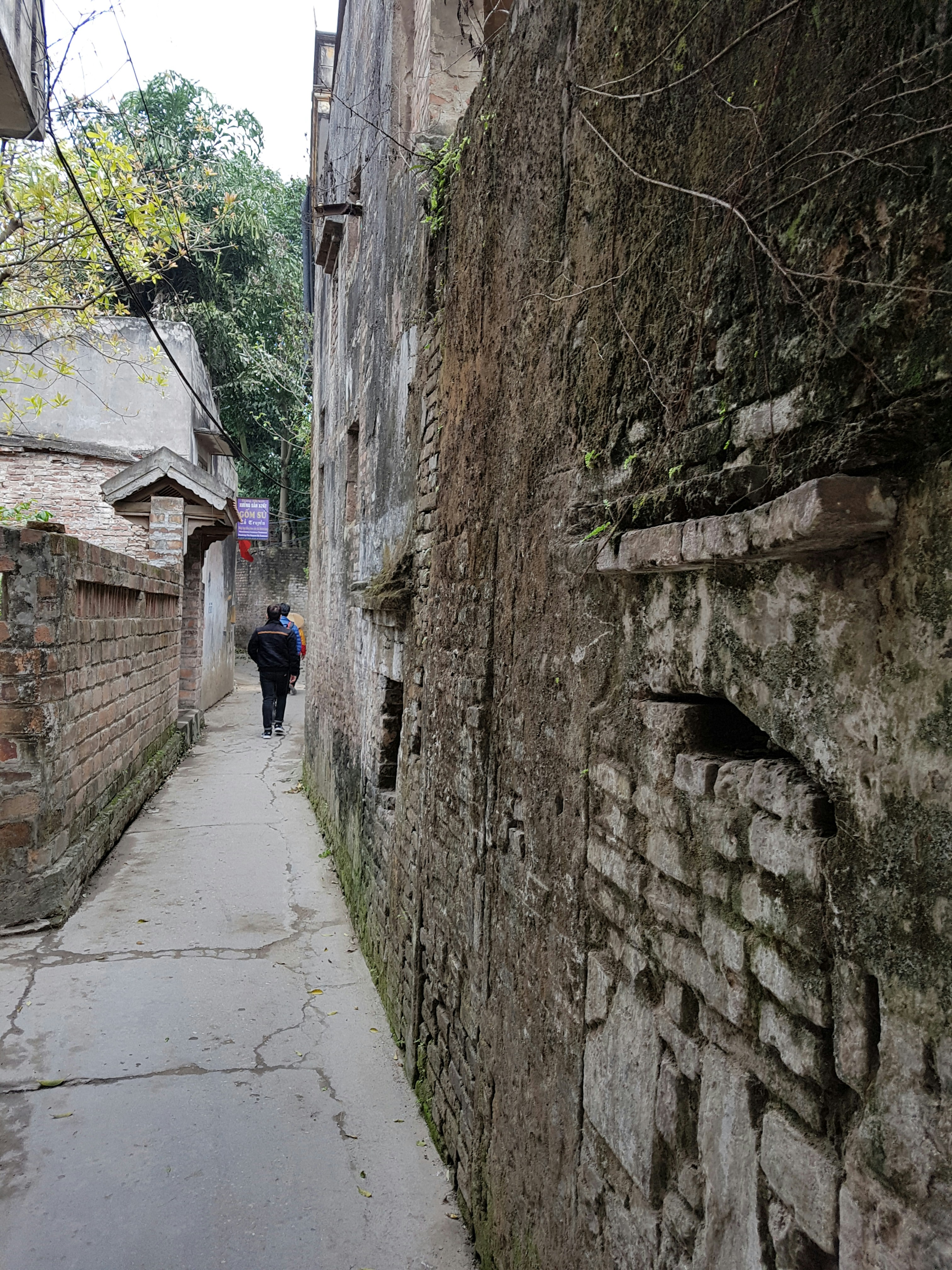 Free Unsplash photo from Cuong Hoang