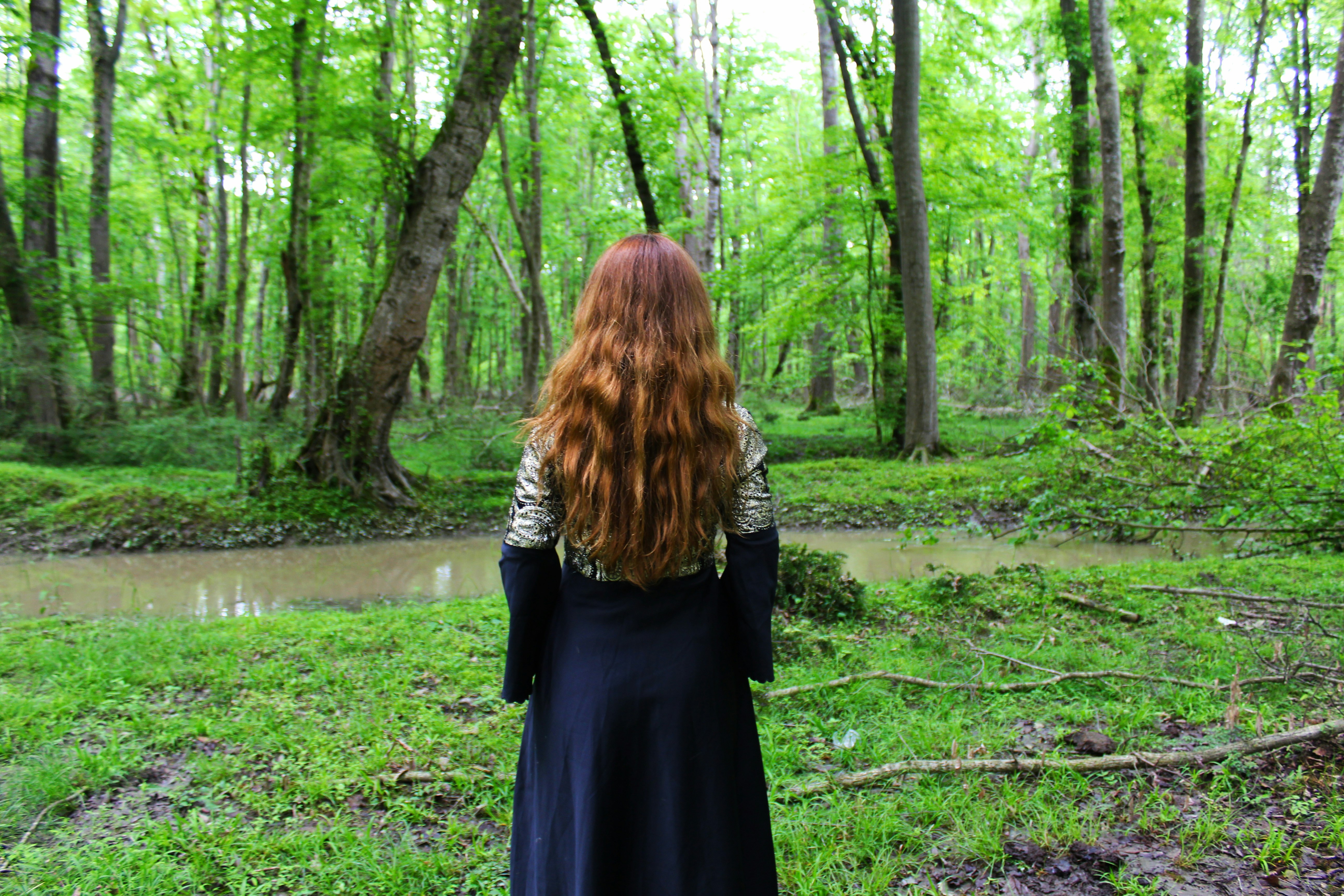 Free Unsplash photo from Mohammad Bagher Adib Behrooz