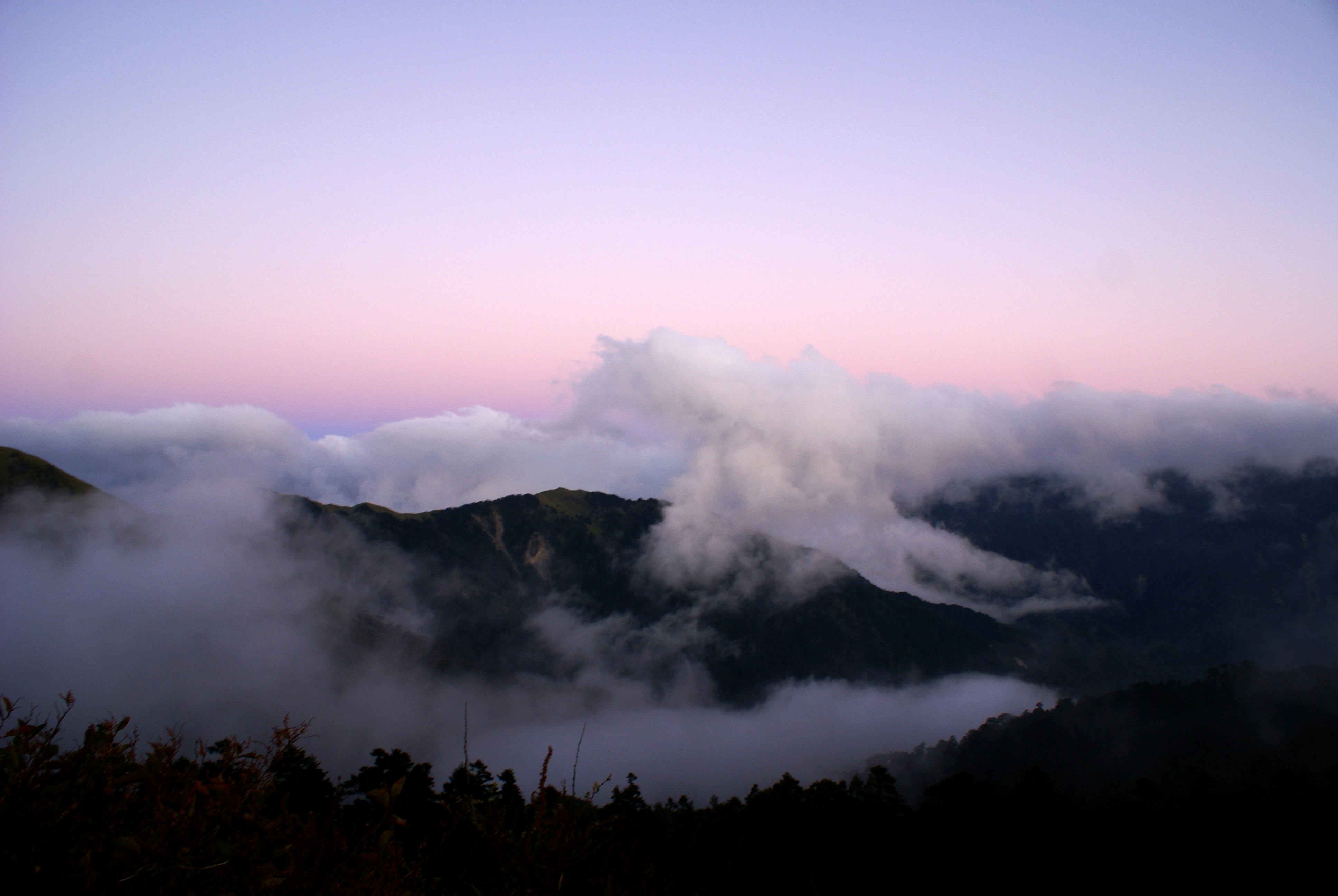 Free Unsplash photo from Andie Huang