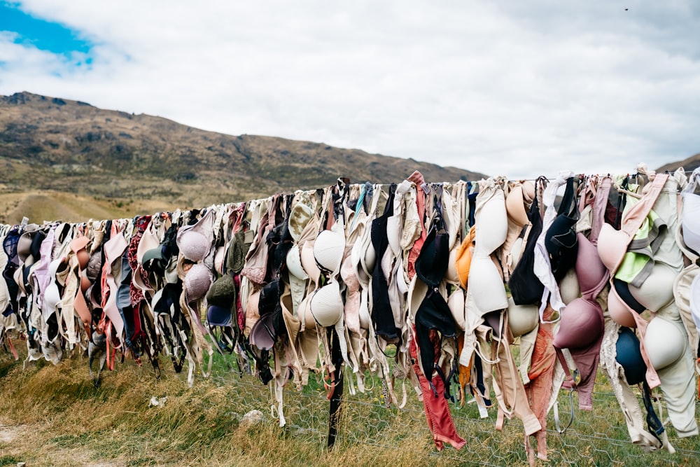 assorted bras hanged on wire