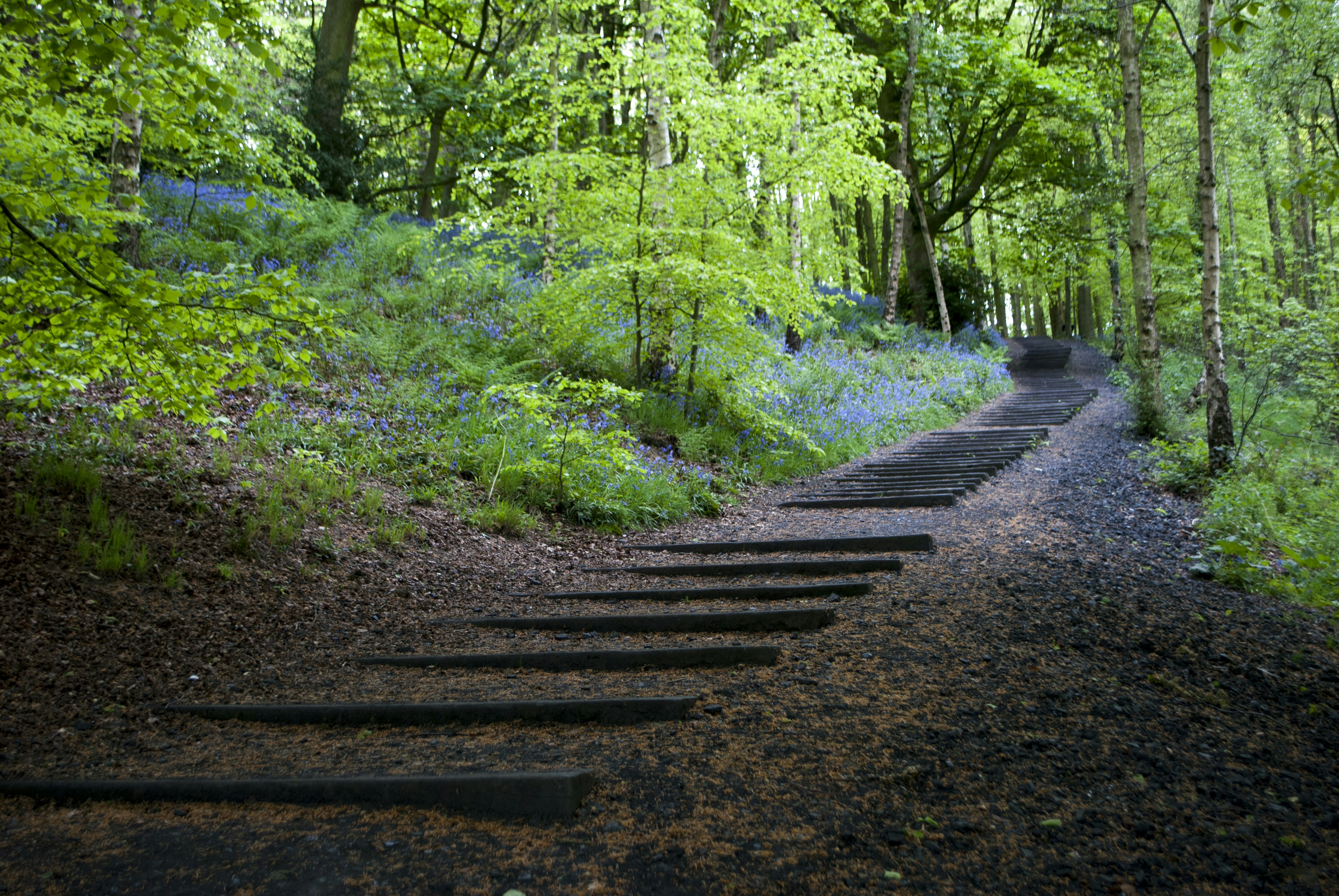 Free Unsplash photo from Neil Cooper