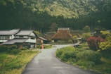A picturesque village scene with traditional thatched roof houses nestled among lush greenery. An empty, winding road leads into the village, surrounded by vibrant green bushes and trees. In the background, dense forested hills rise, adding to the serene and natural atmosphere.