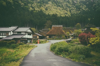 A picturesque village scene with traditional thatched roof houses nestled among lush greenery. An empty, winding road leads into the village, surrounded by vibrant green bushes and trees. In the background, dense forested hills rise, adding to the serene and natural atmosphere.