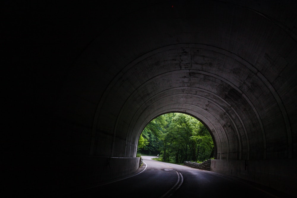 tunnel near trees at daytime