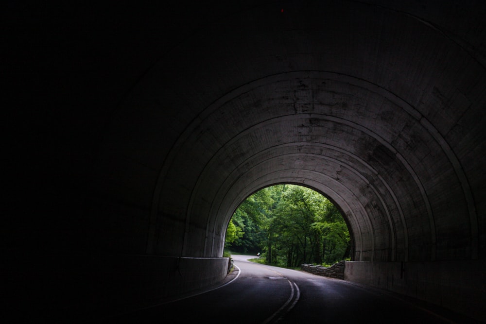 túnel perto de árvores durante o dia