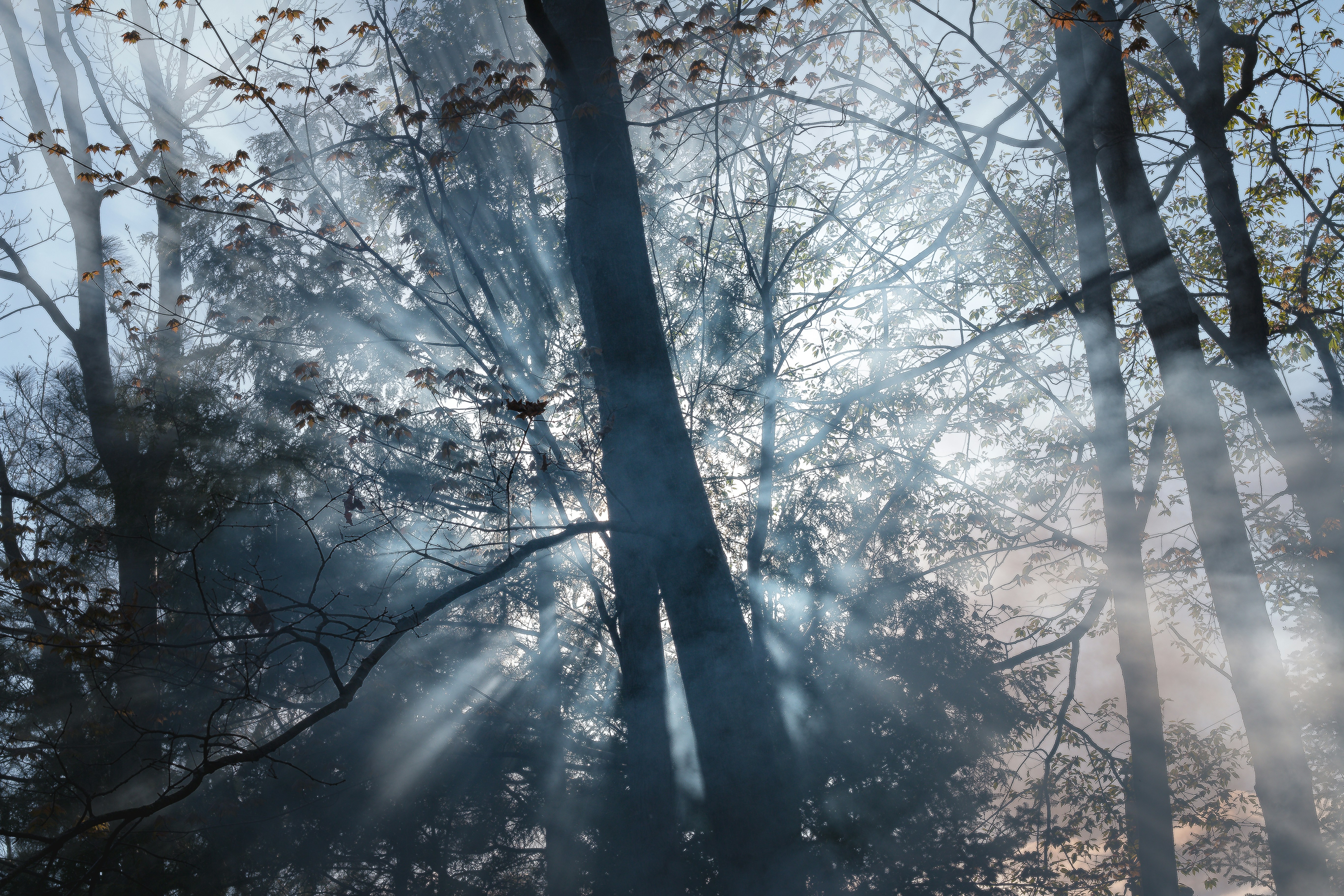 Free Unsplash photo from Rob Sapp