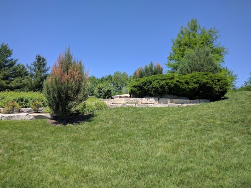 A well-maintained grassy hill is adorned with neatly trimmed shrubs and trees. The landscape features several stone blocks forming a small retaining wall. The sky is clear and bright blue, contributing to the serene and peaceful atmosphere.