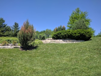 A well-maintained grassy hill is adorned with neatly trimmed shrubs and trees. The landscape features several stone blocks forming a small retaining wall. The sky is clear and bright blue, contributing to the serene and peaceful atmosphere.