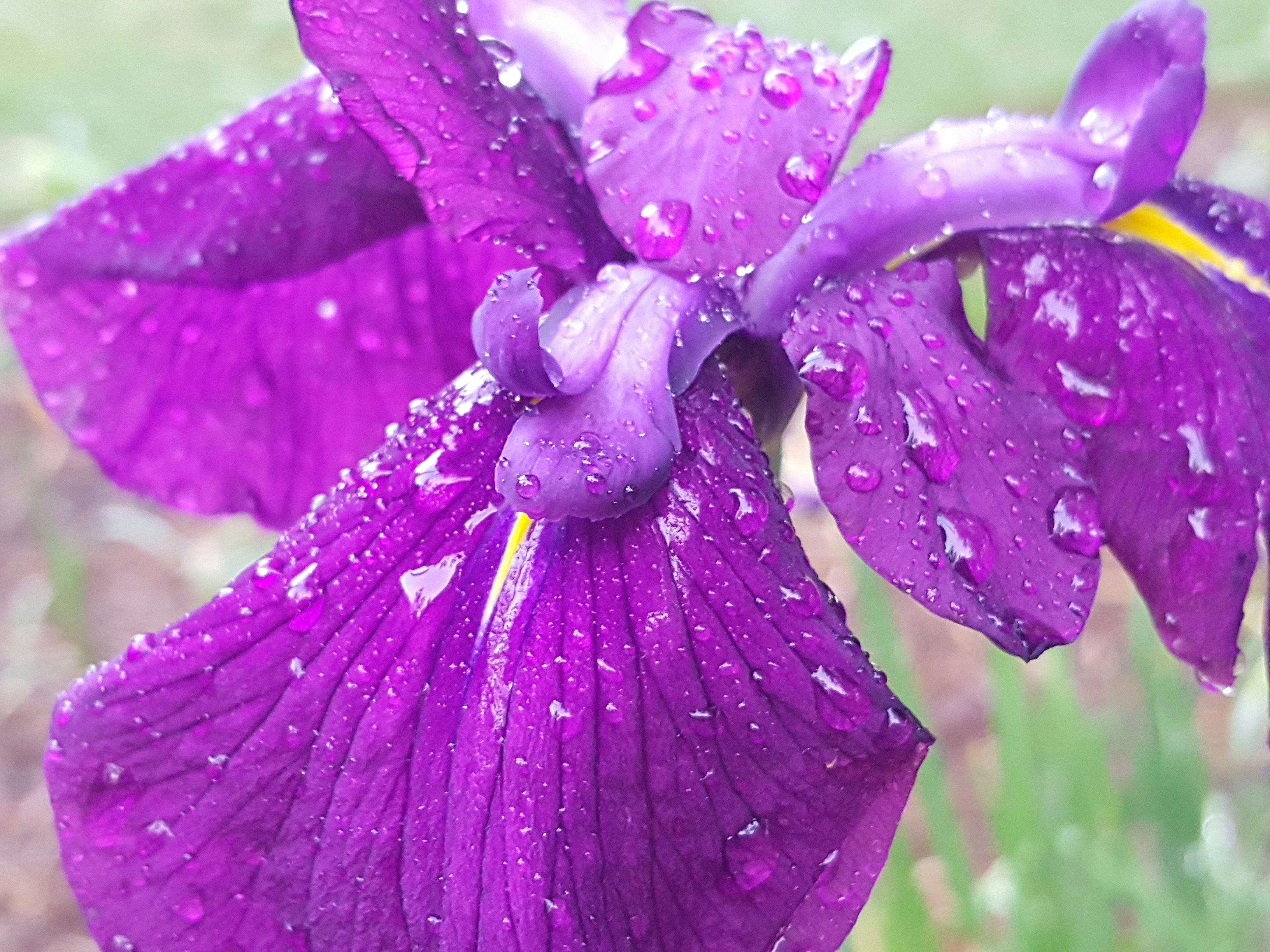 Free Unsplash photo from S.R. Young