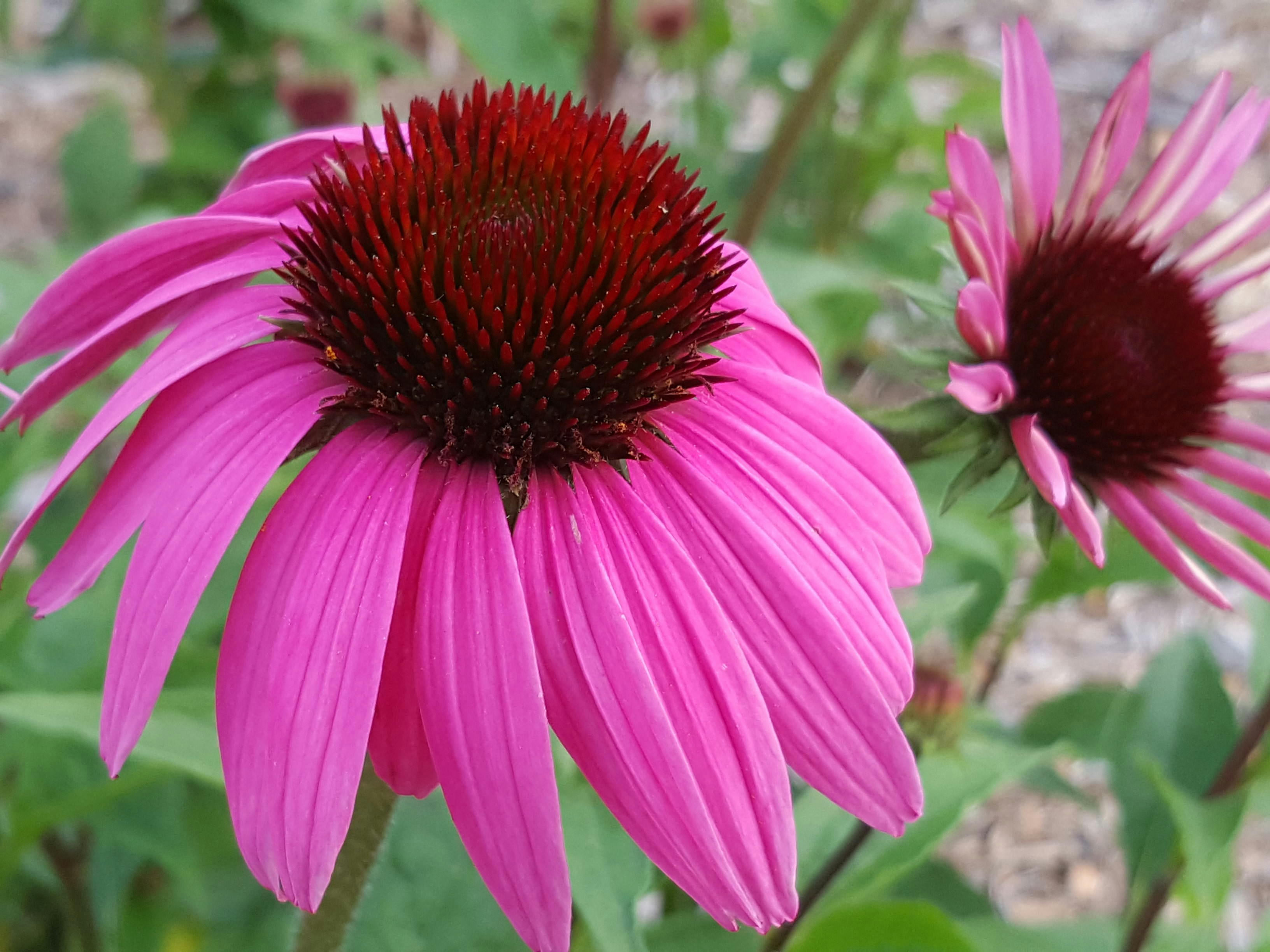 Free Unsplash photo from S.R. Young