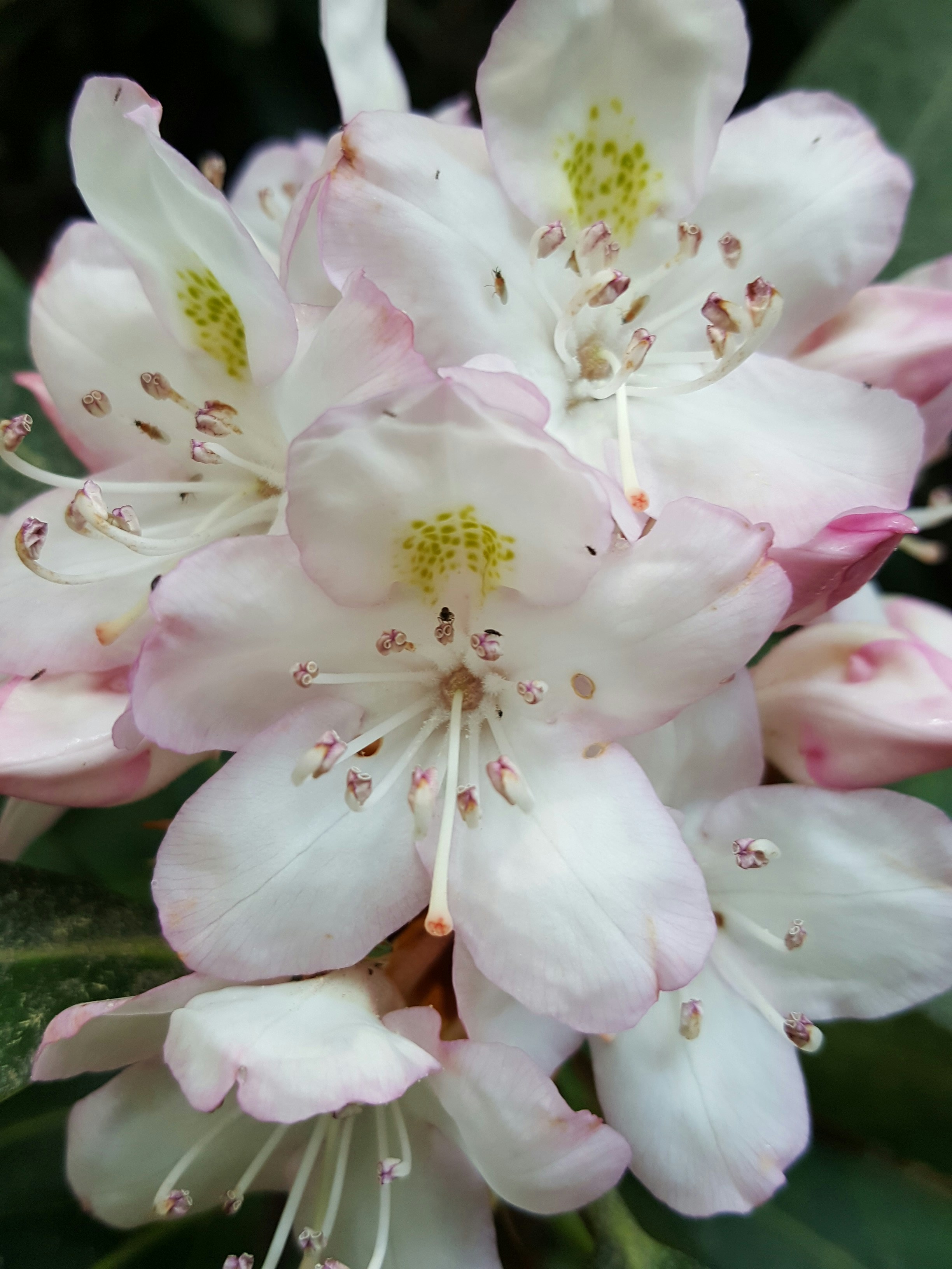 Free Unsplash photo from S.R. Young