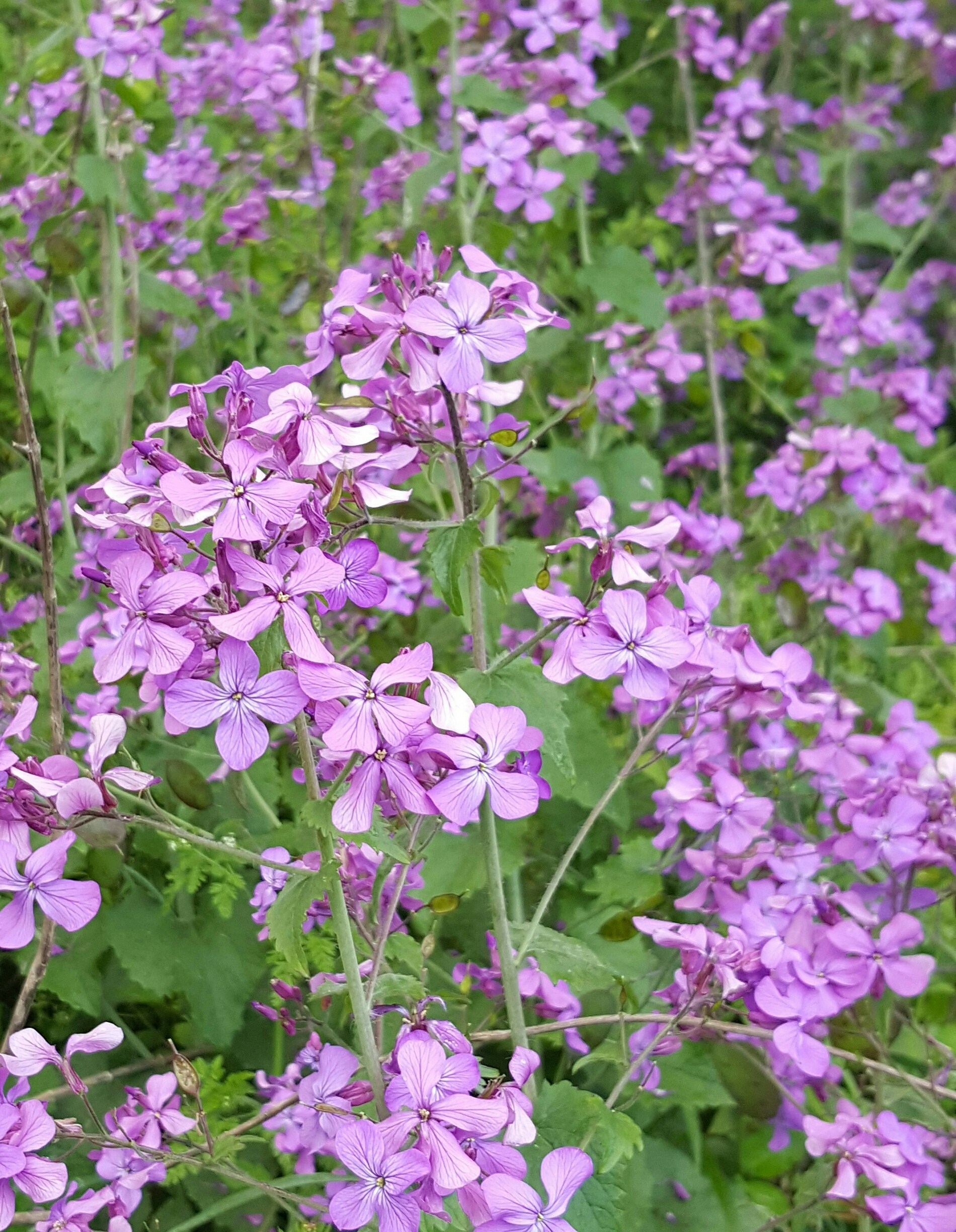 Free Unsplash photo from S.R. Young