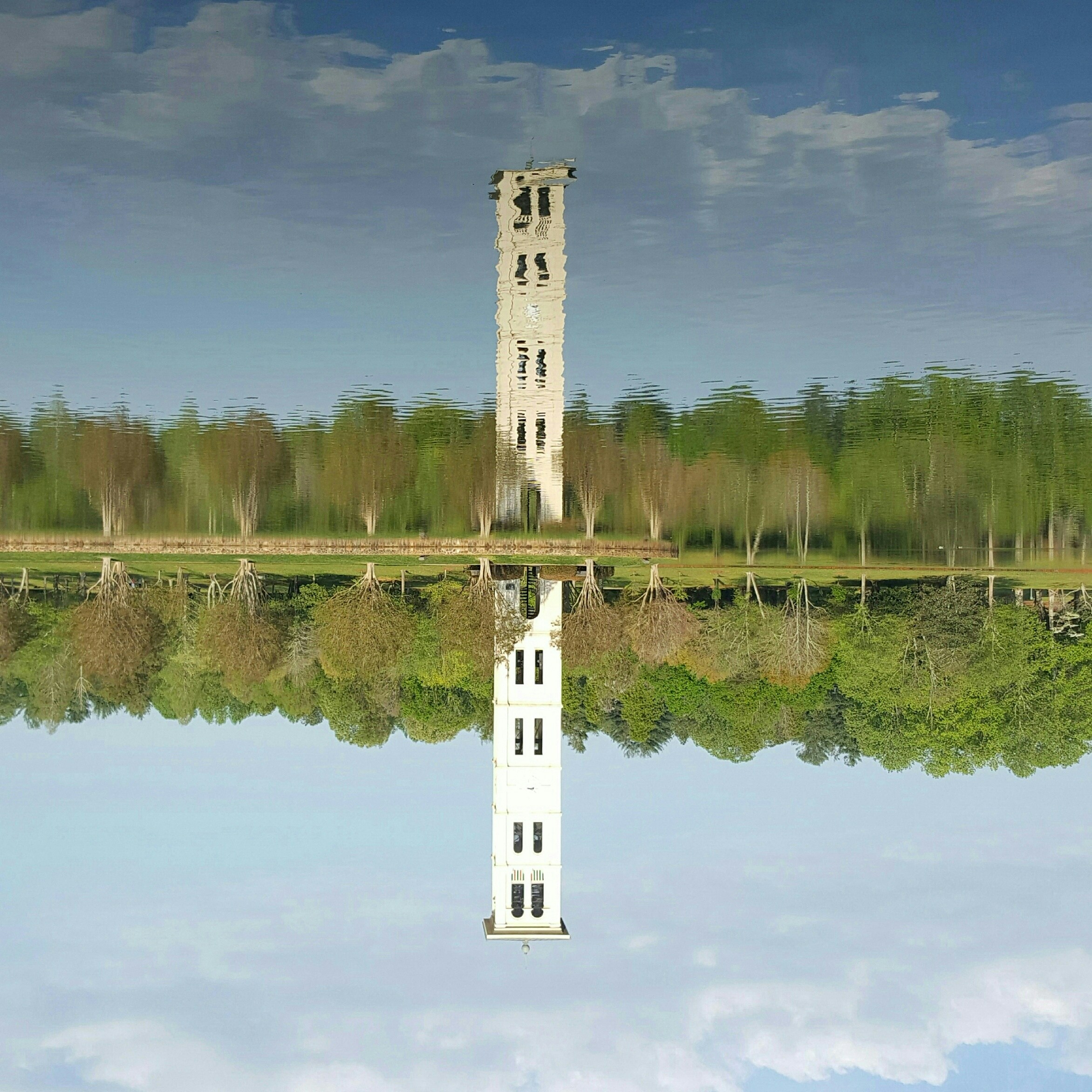 Free Unsplash photo from S.R. Young