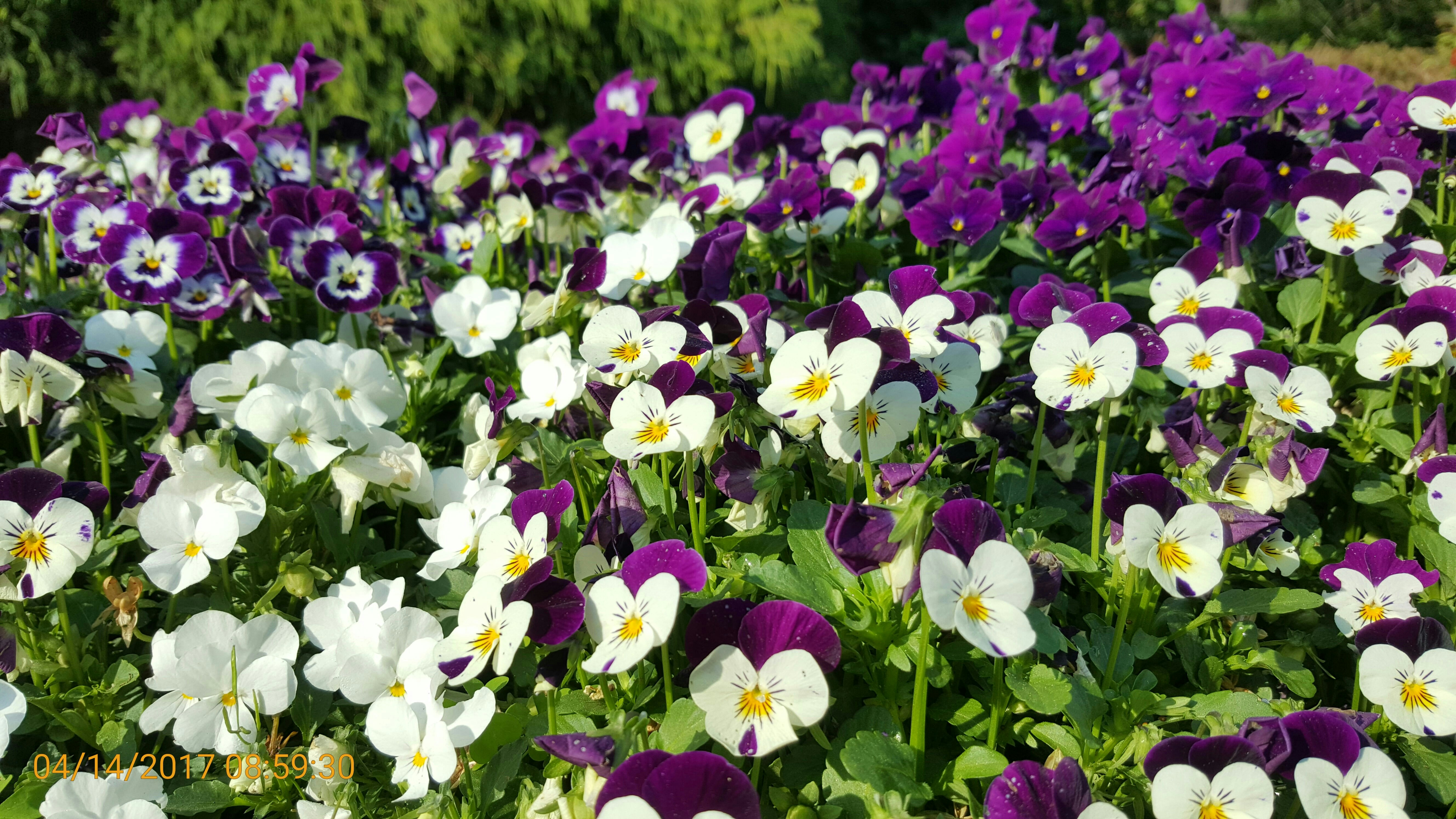 Free Unsplash photo from S.R. Young