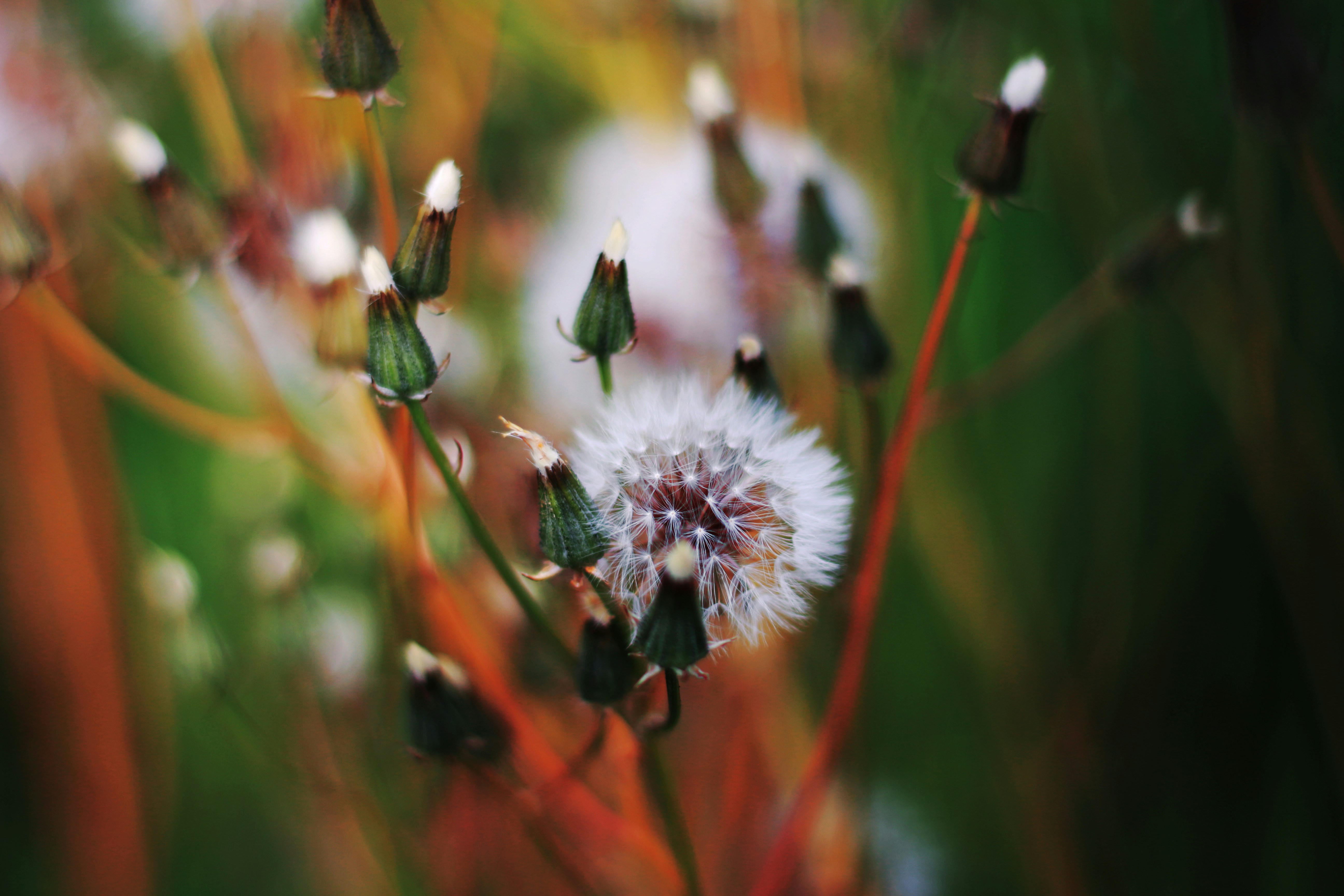 Free Unsplash photo from Aida Ortega Ribadulla