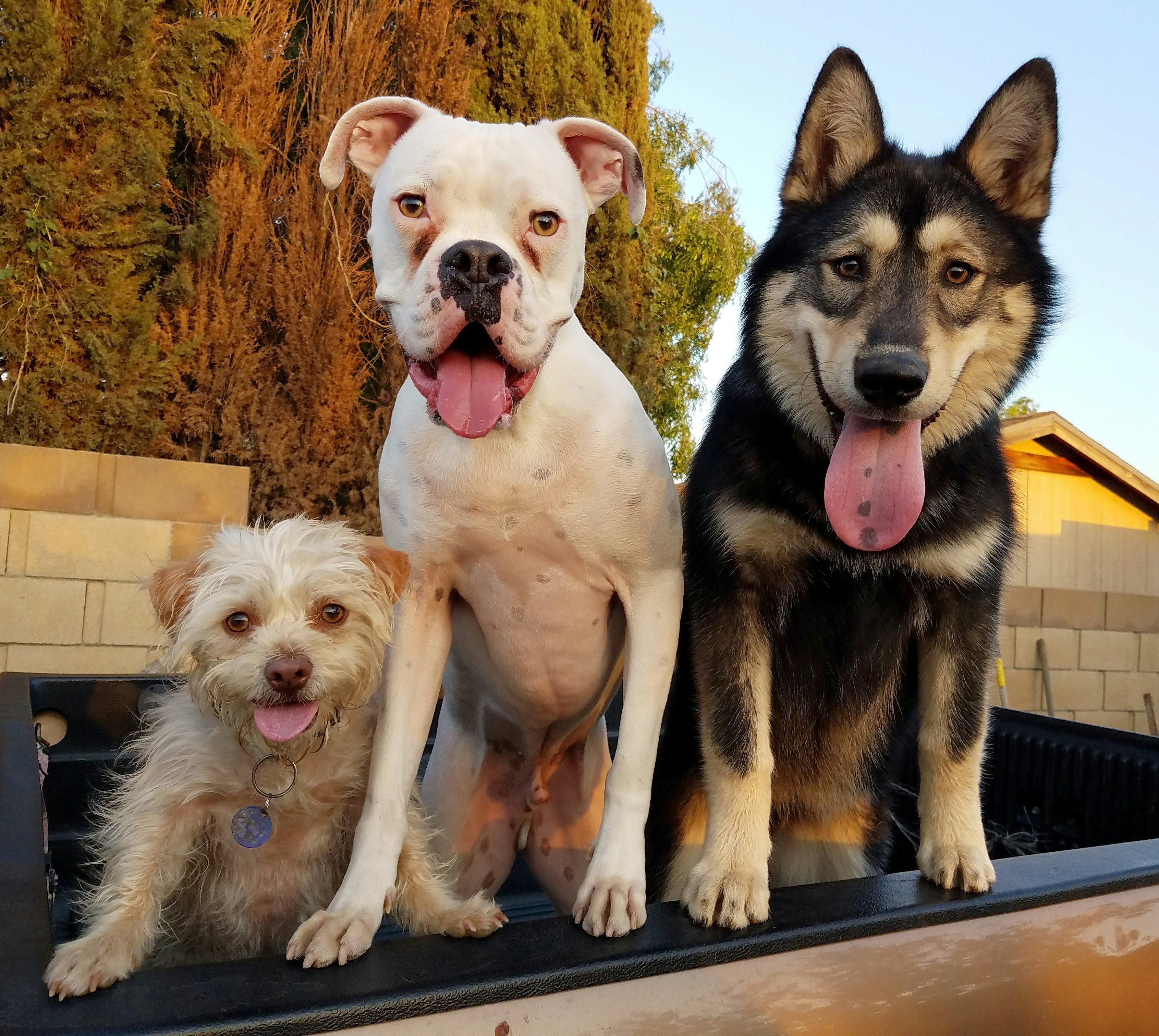 Free Unsplash photo from Cathryn De La Cruz