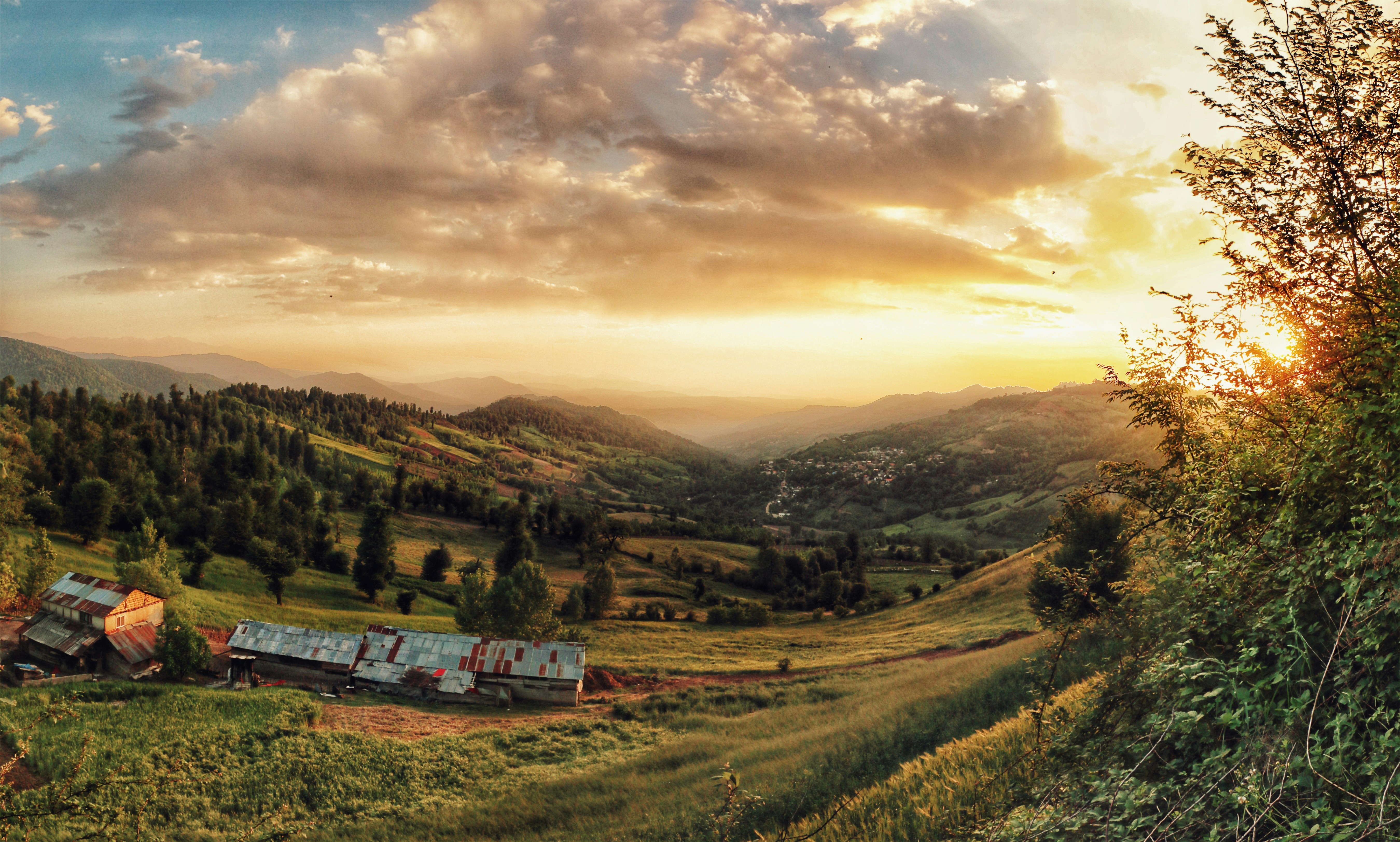 Free Unsplash photo from Soroush Karimi