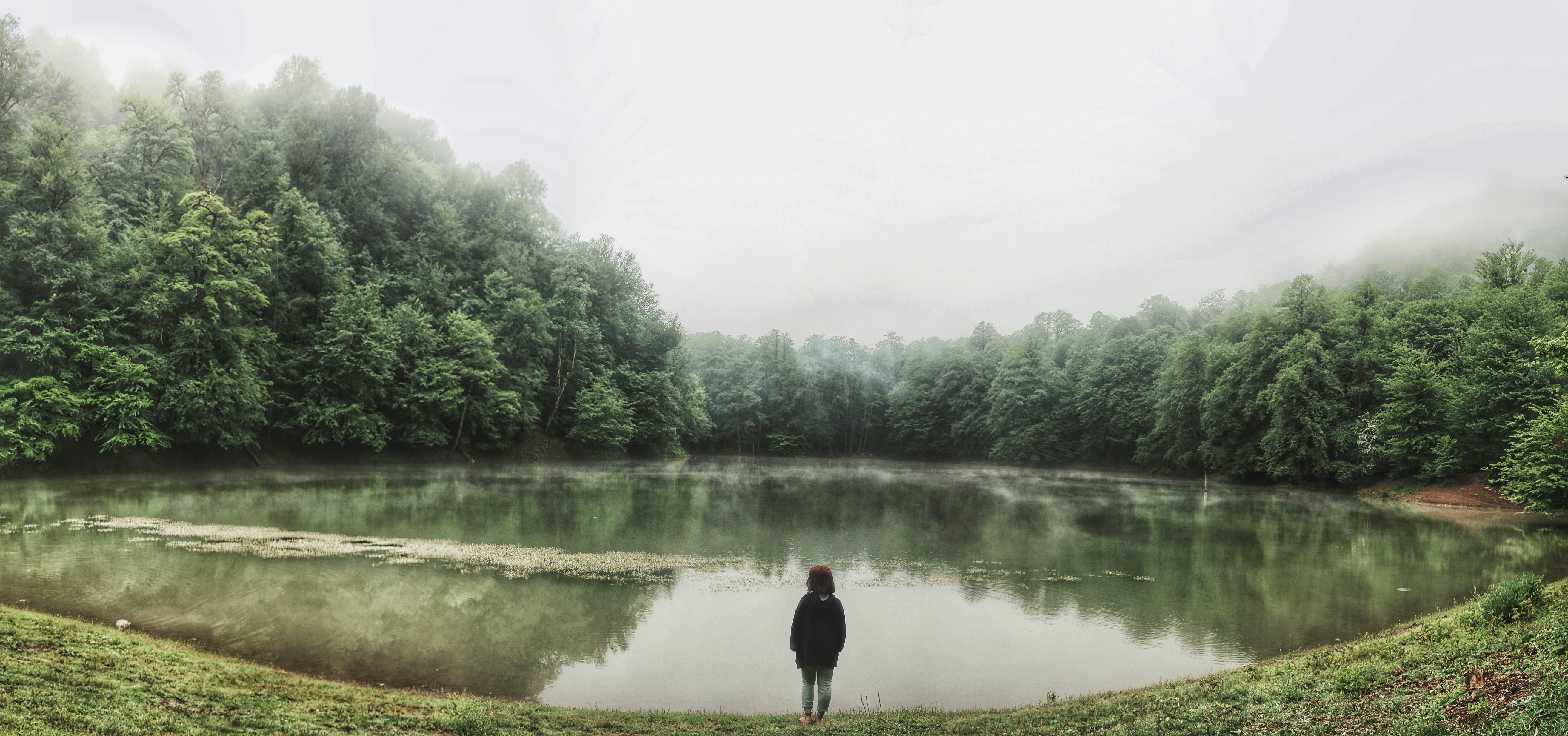 Free Unsplash photo from Soroush Karimi