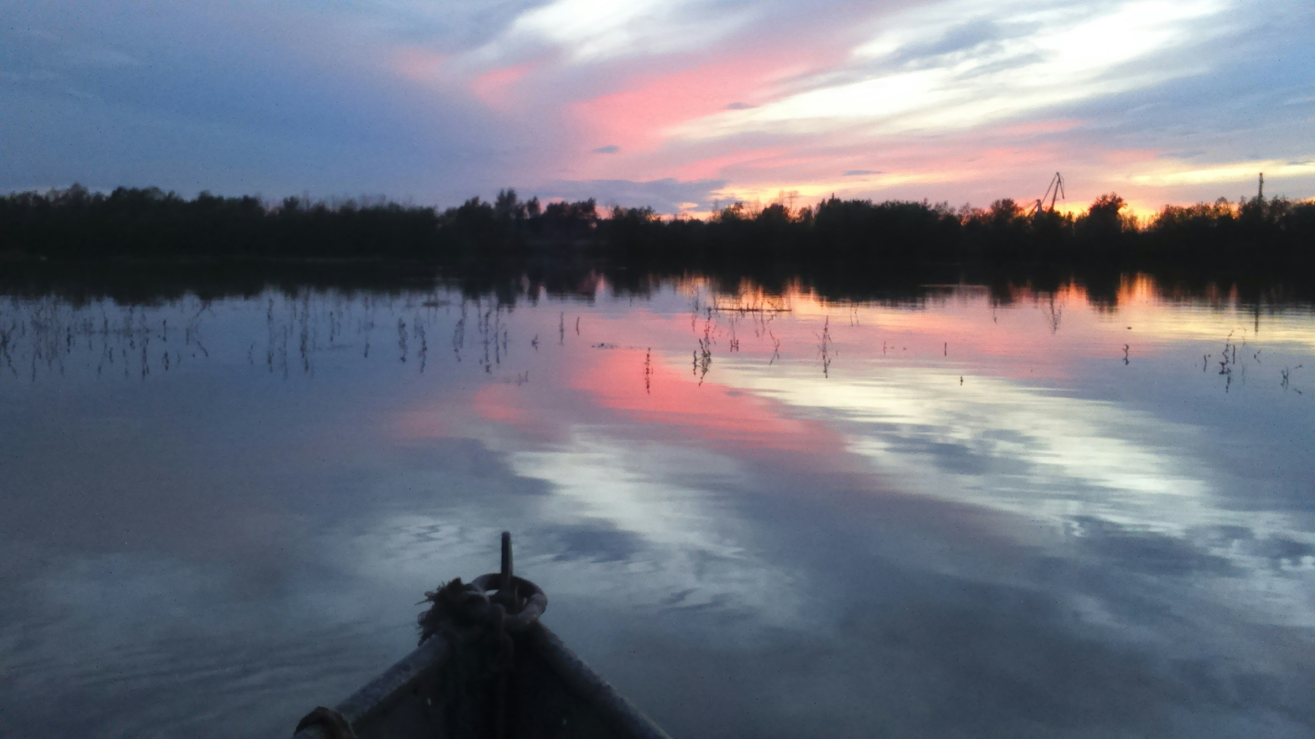 Free Unsplash photo from Angelina Sotnikova