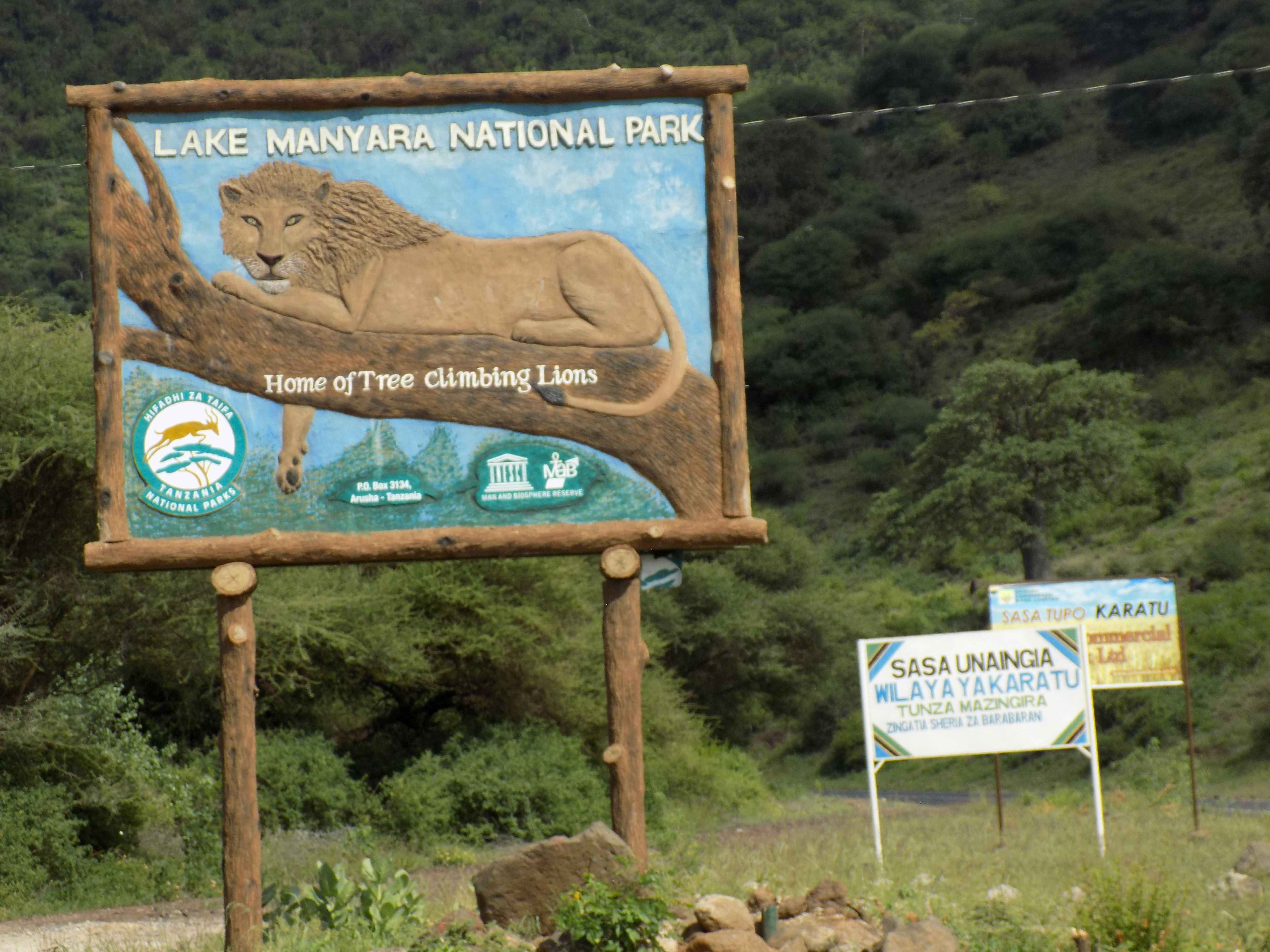 Free Unsplash photo from Njengo Mbanga