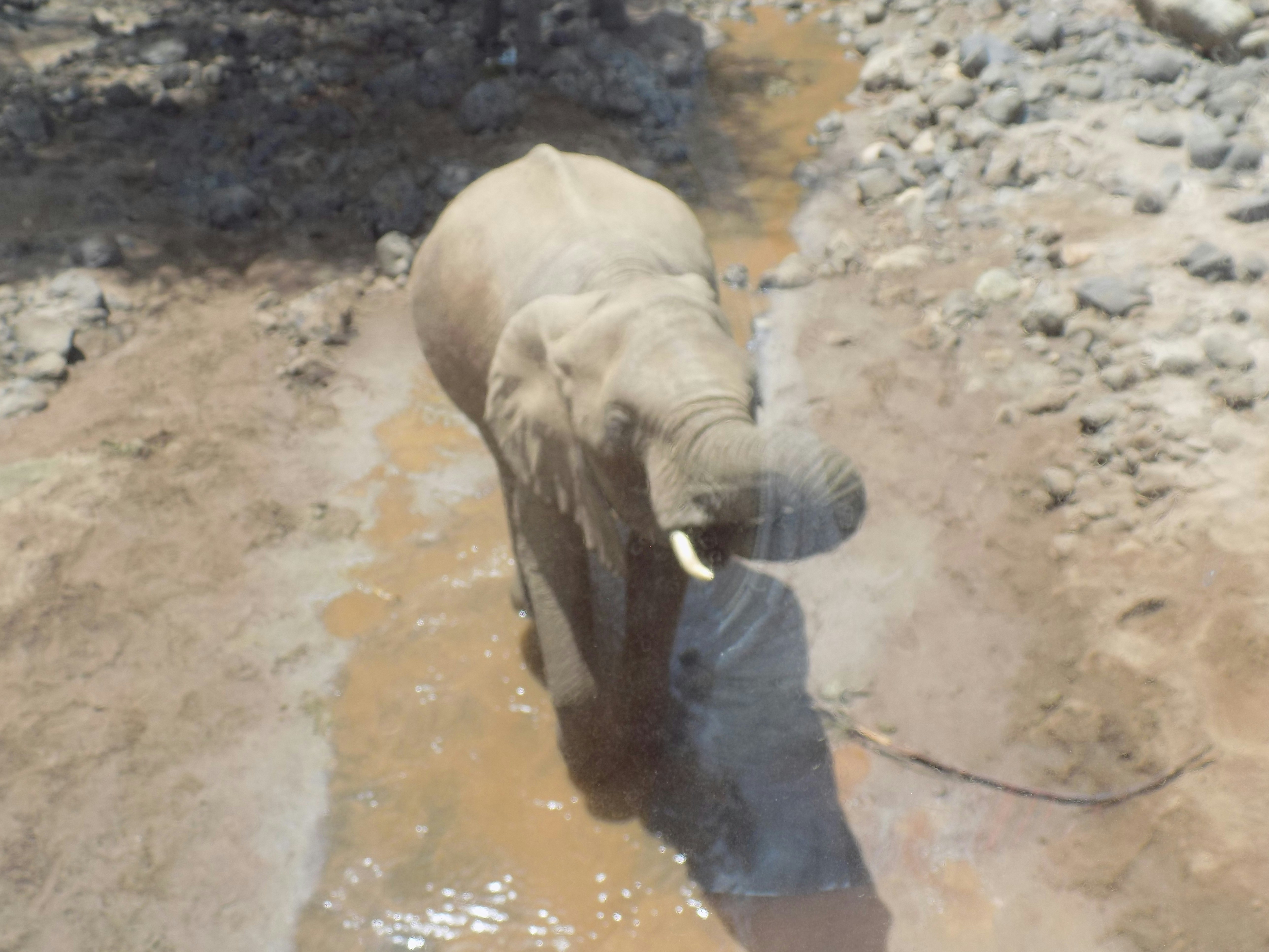 Free Unsplash photo from Njengo Mbanga