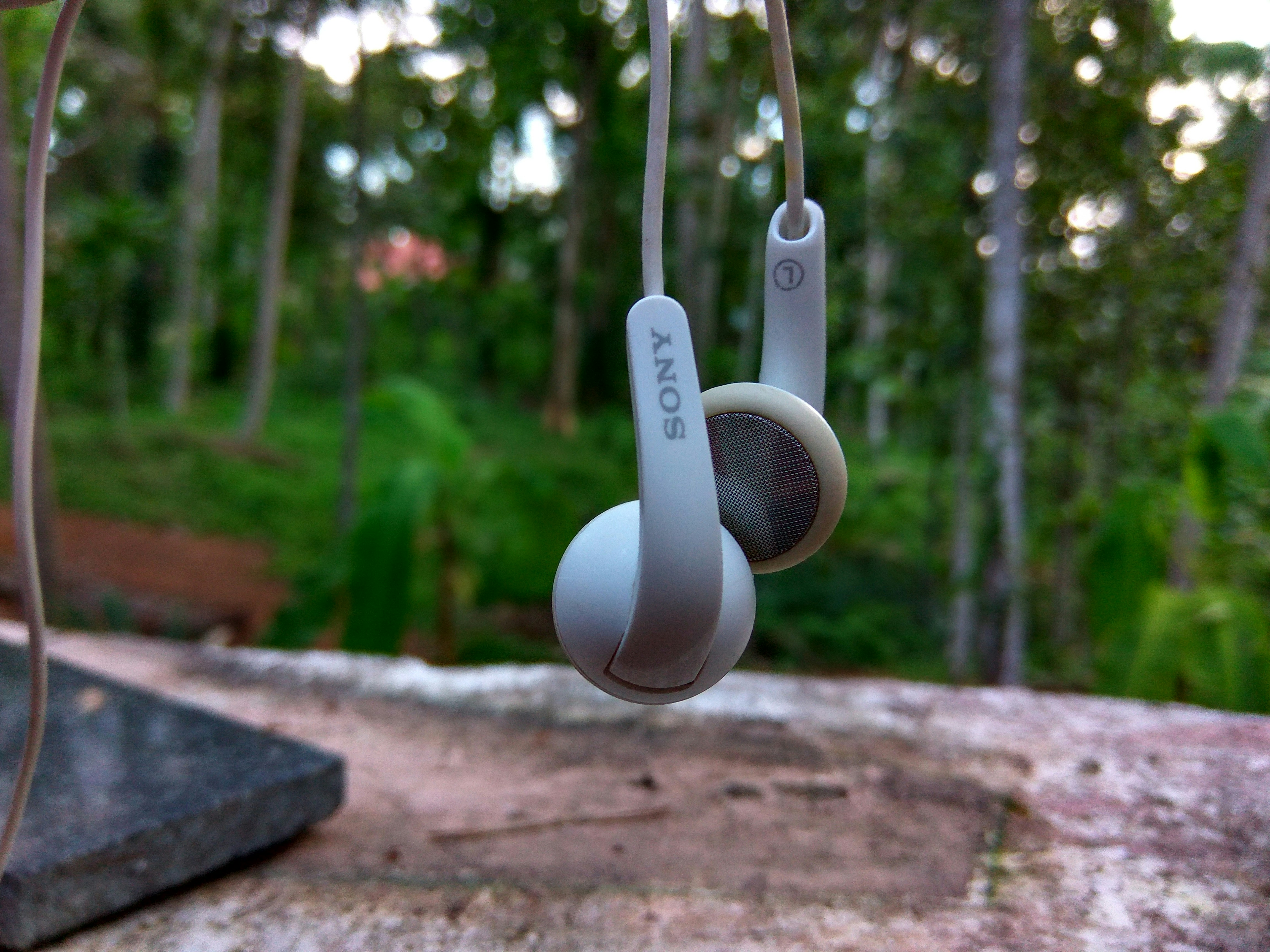 Free Unsplash photo from Joji RS