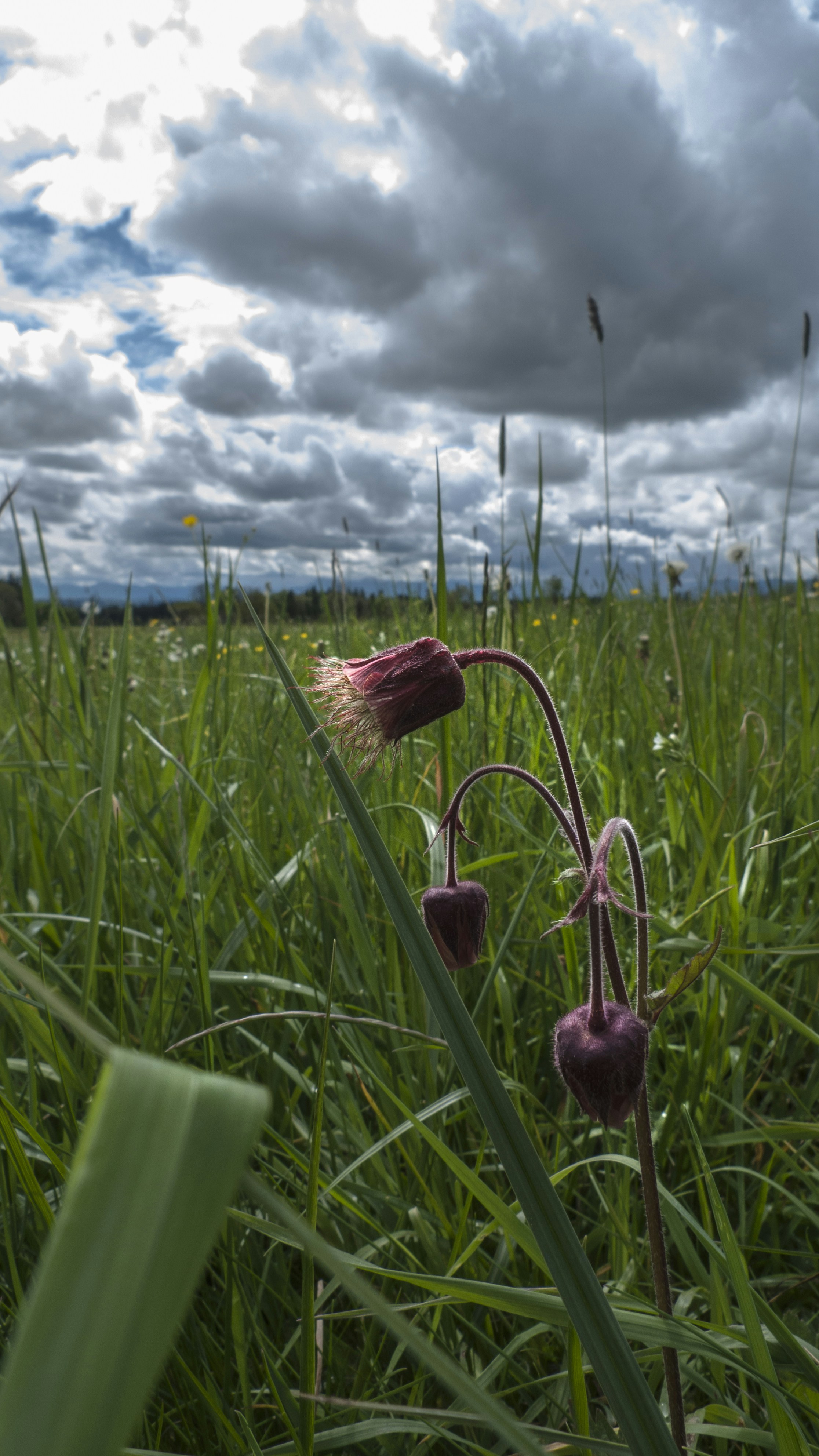 Free Unsplash photo from thomas henke