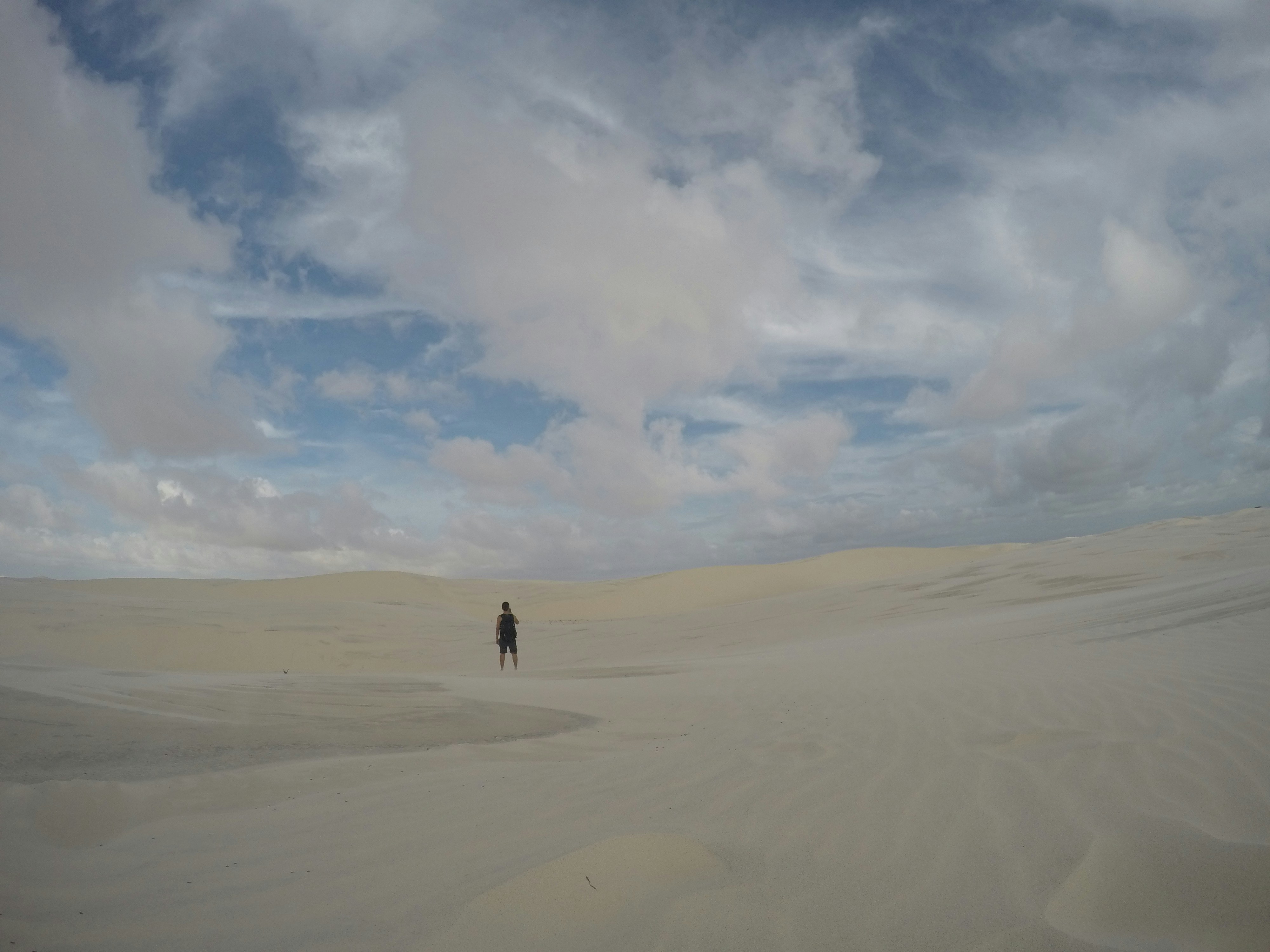 Free Unsplash photo from Carlos Aguilar