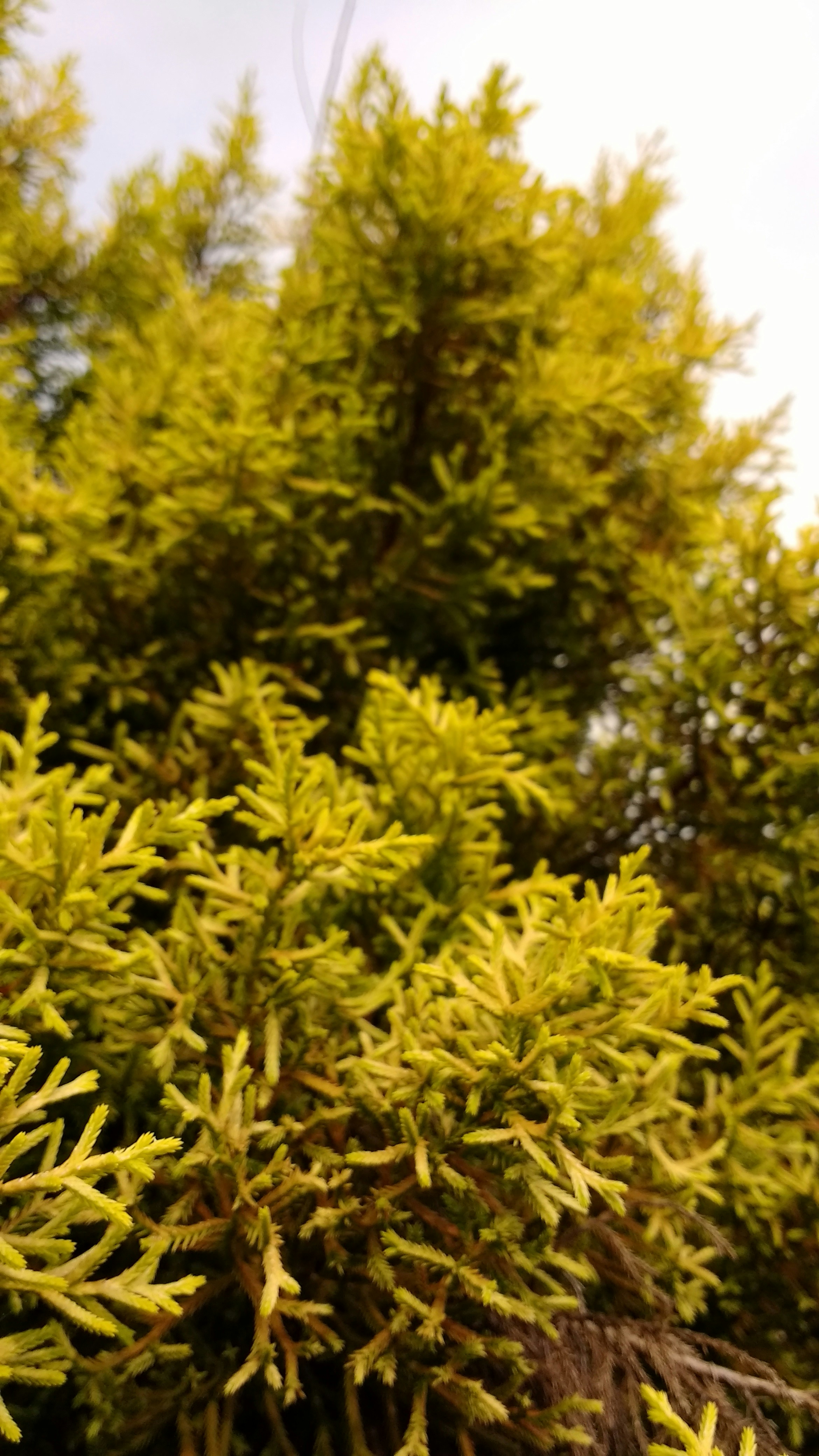 Free Unsplash photo from Nikhil K