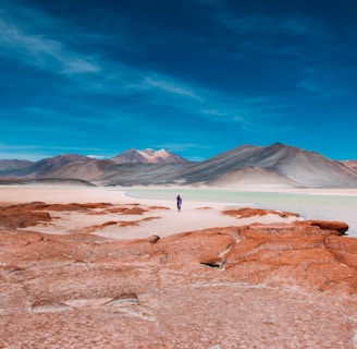 person walking in distance of mountain