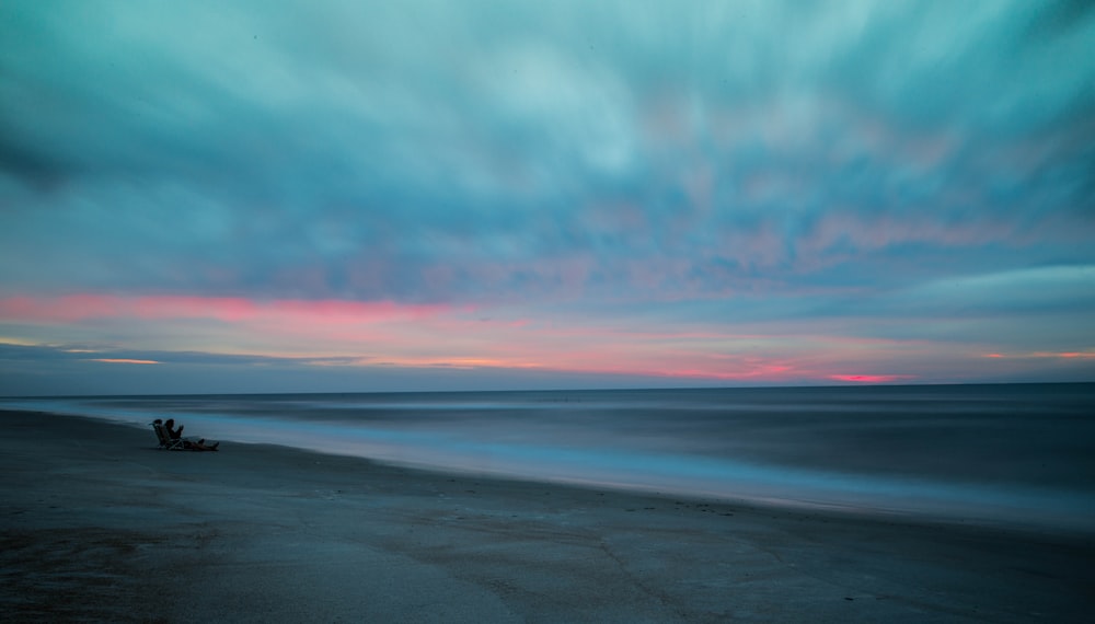 beach with drift wood