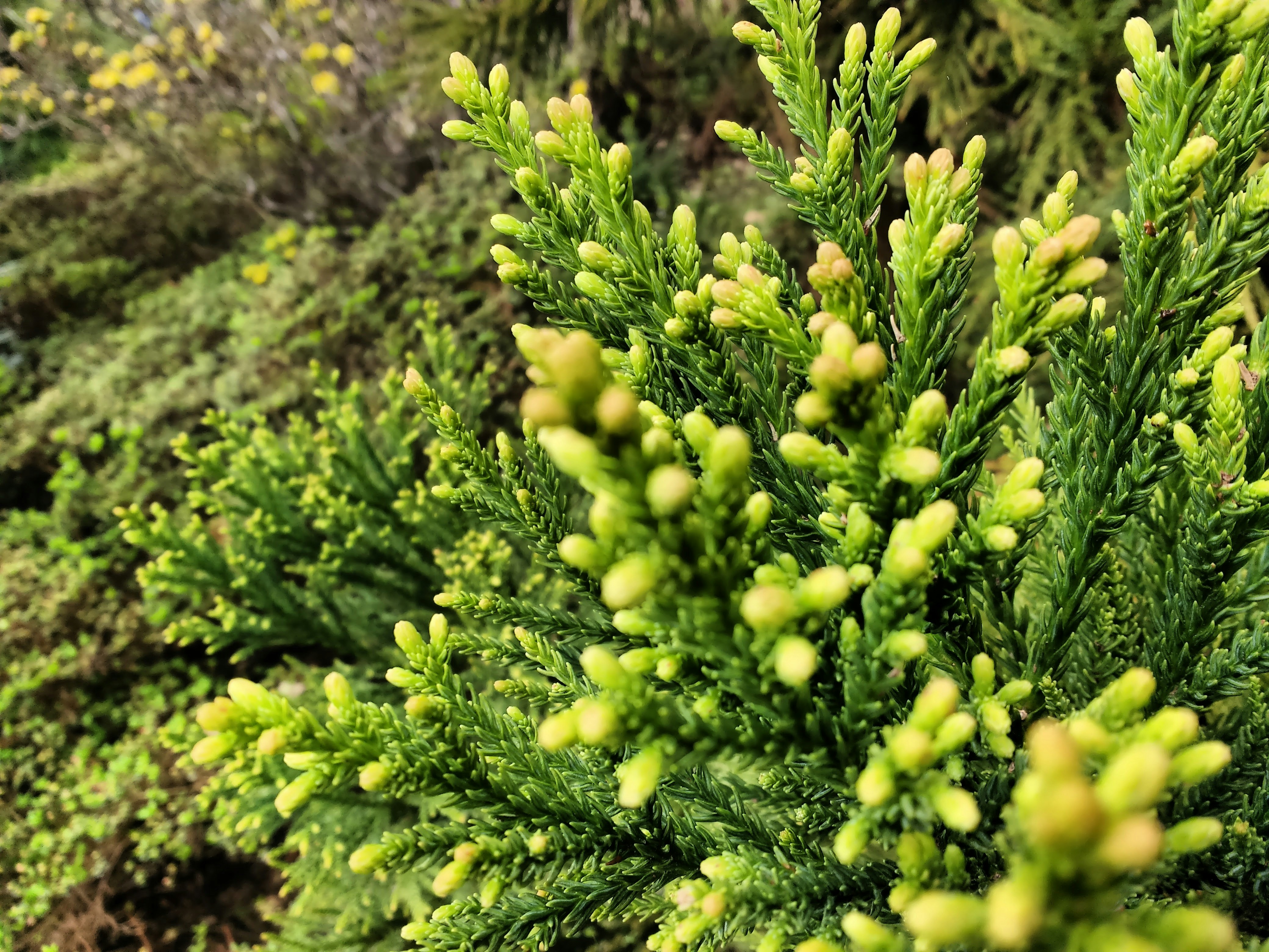 Free Unsplash photo from Daniel Filatov