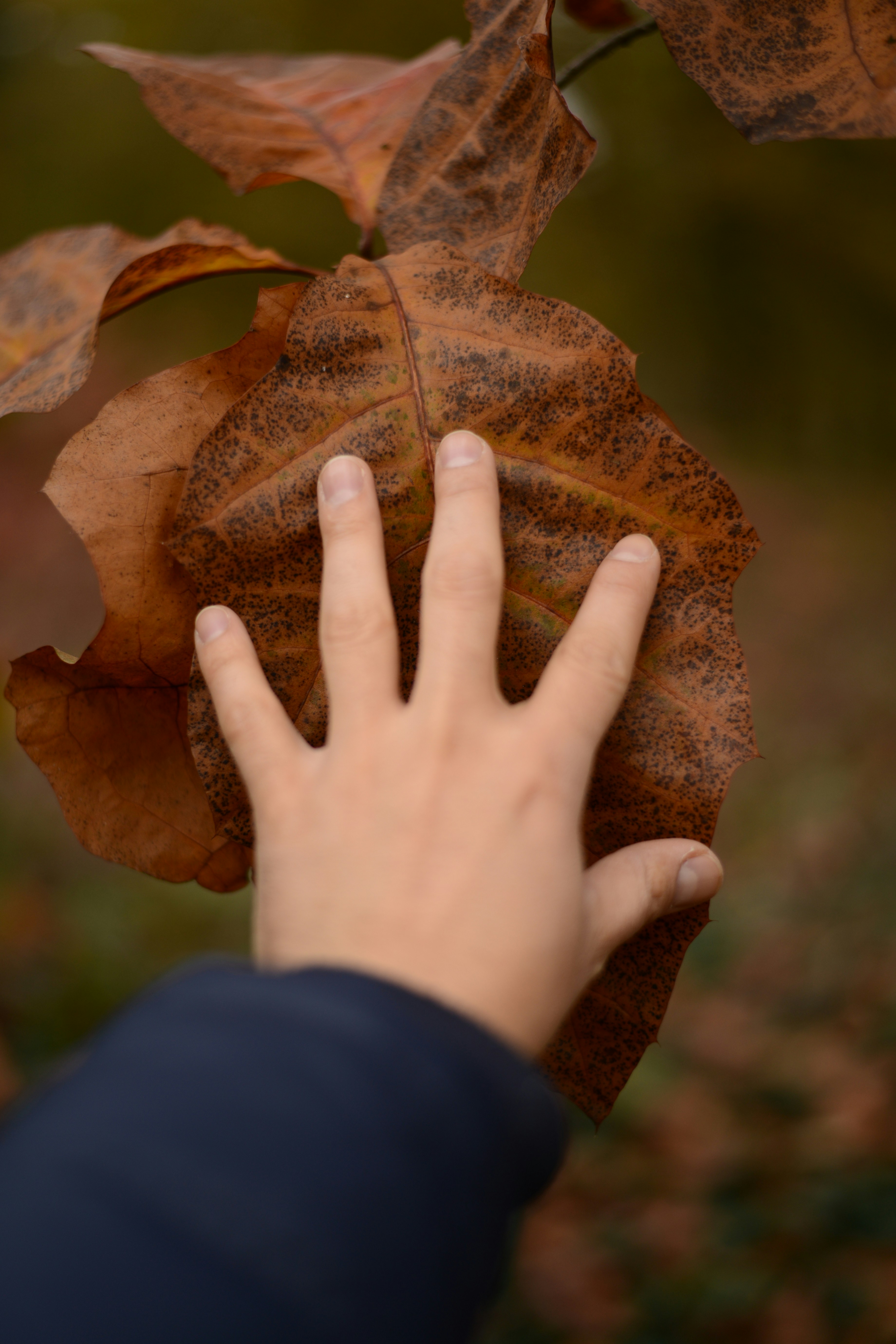 Free Unsplash photo from Murad Atshan