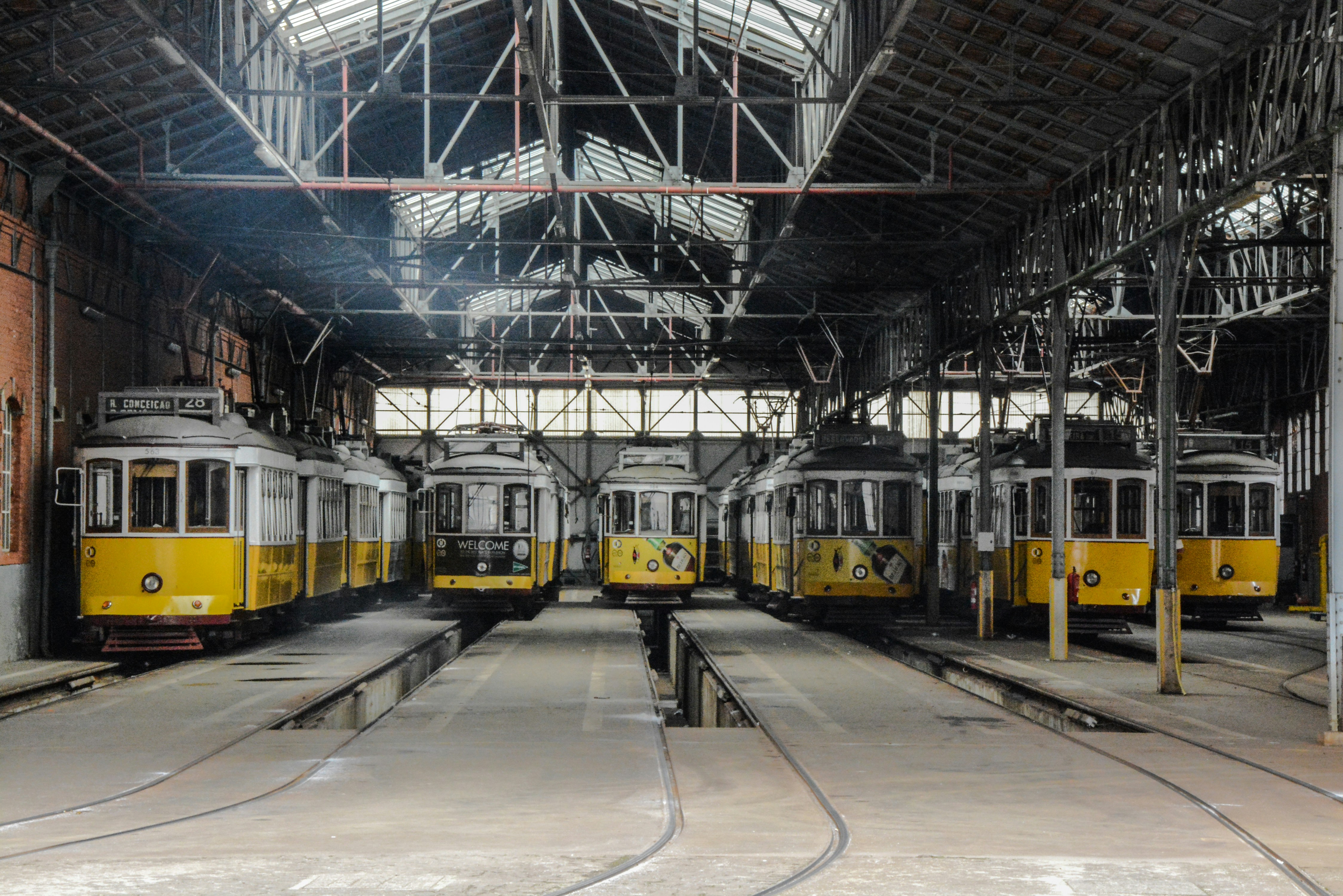 Free Unsplash photo from Alice Pasqual