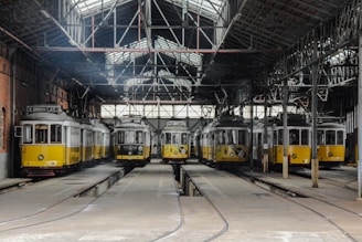 A series of yellow trams are parked inside a large, industrial tram depot with high ceilings and metal structures. The depot has visible rails leading to each tram, and there is natural light coming through the metal and glass roof. The trams are neatly aligned and display various signs on the front.