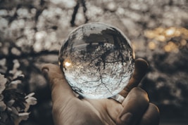 person holding round glass ball