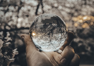 person holding round glass ball