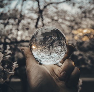 person holding round glass ball